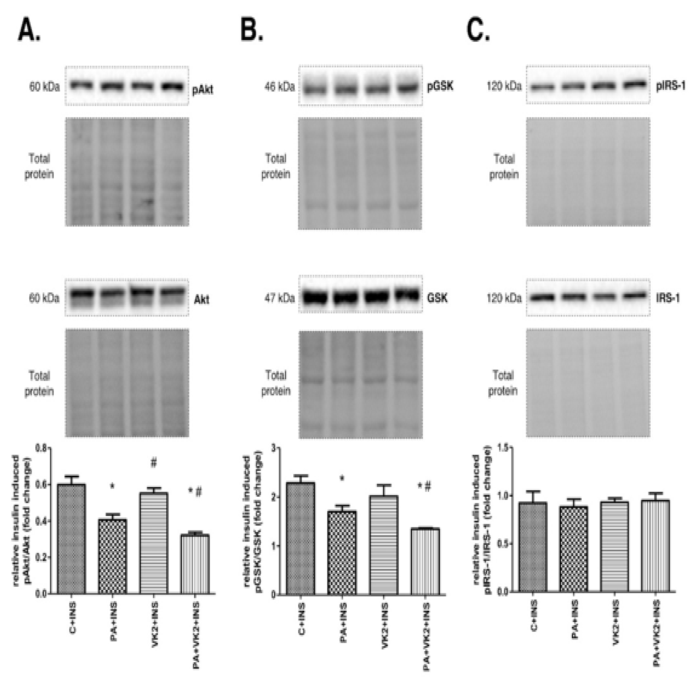 Molecules 26 03377 g004 Molecules 26 03377 g004