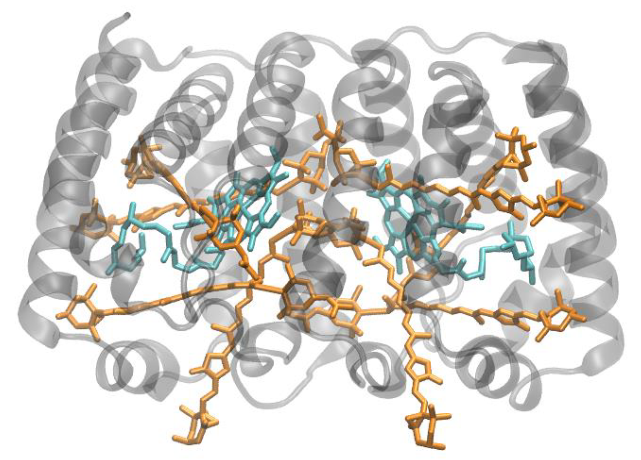 Molecules Free FullText Photosynthetic LightHarvesting (Antenna) Complexes—Structures and