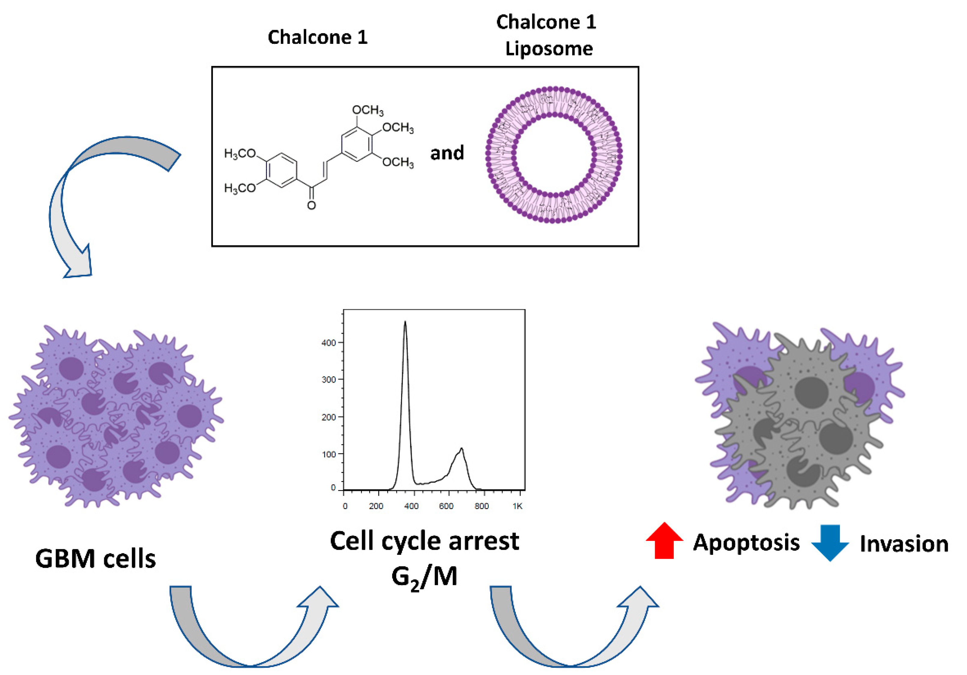 Molecules 26 03383 g007 Molecules 26 03383 g007