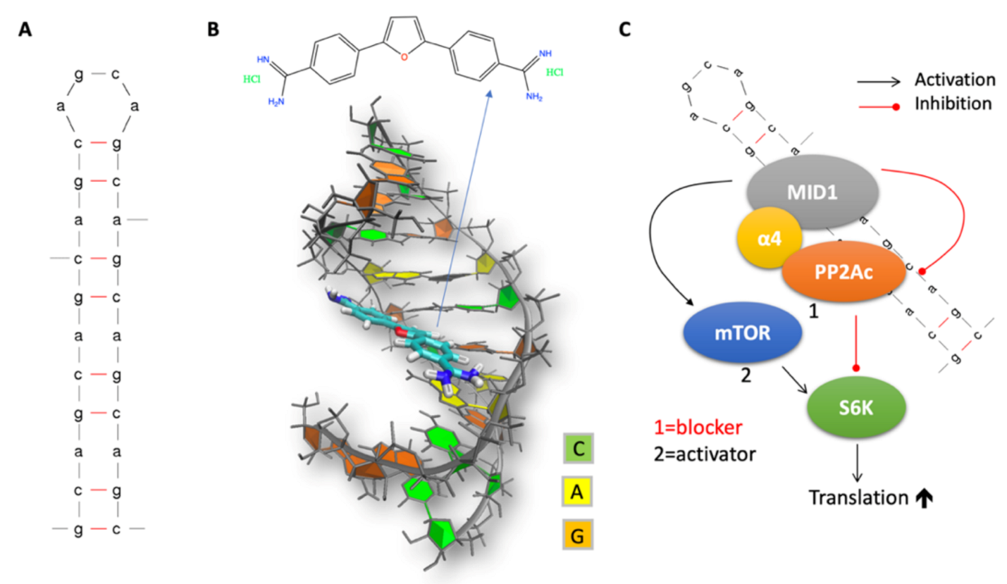 Molecules 26 03384 g002 Molecules 26 03384 g002