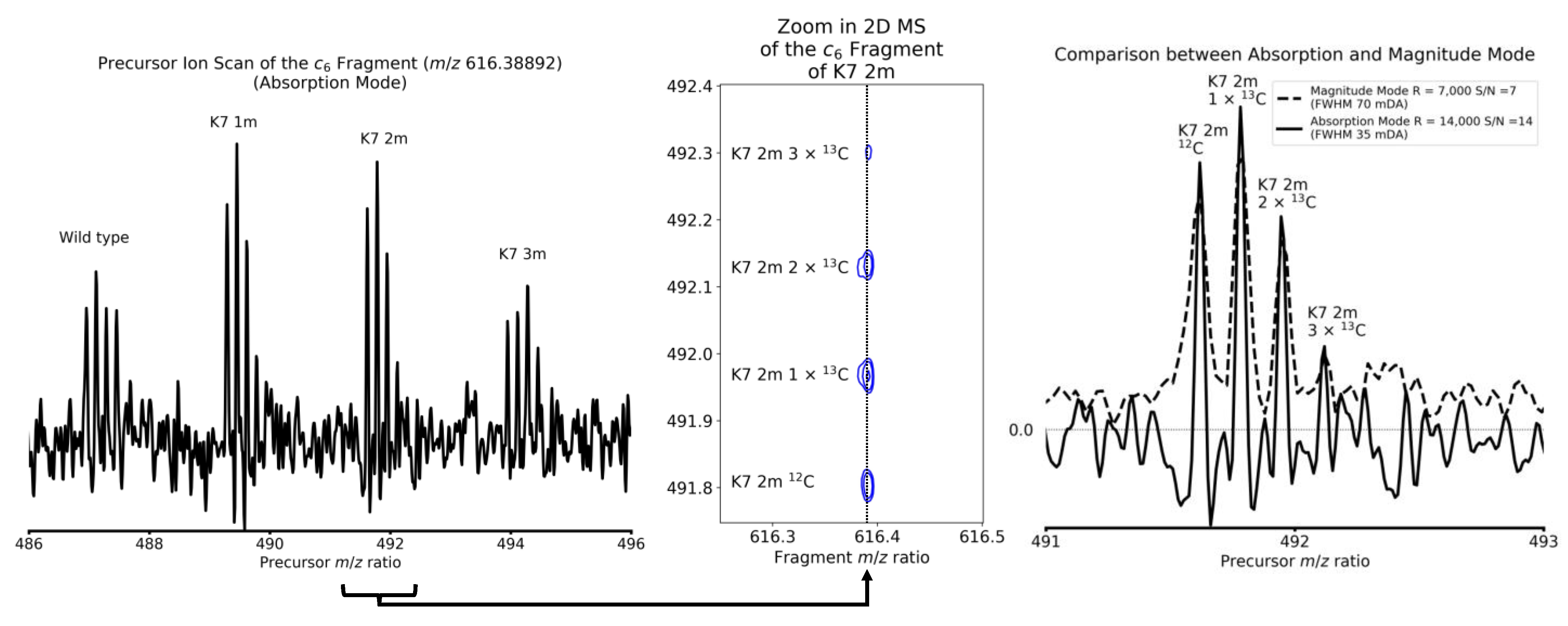 Molecules 26 03388 g003 Molecules 26 03388 g003