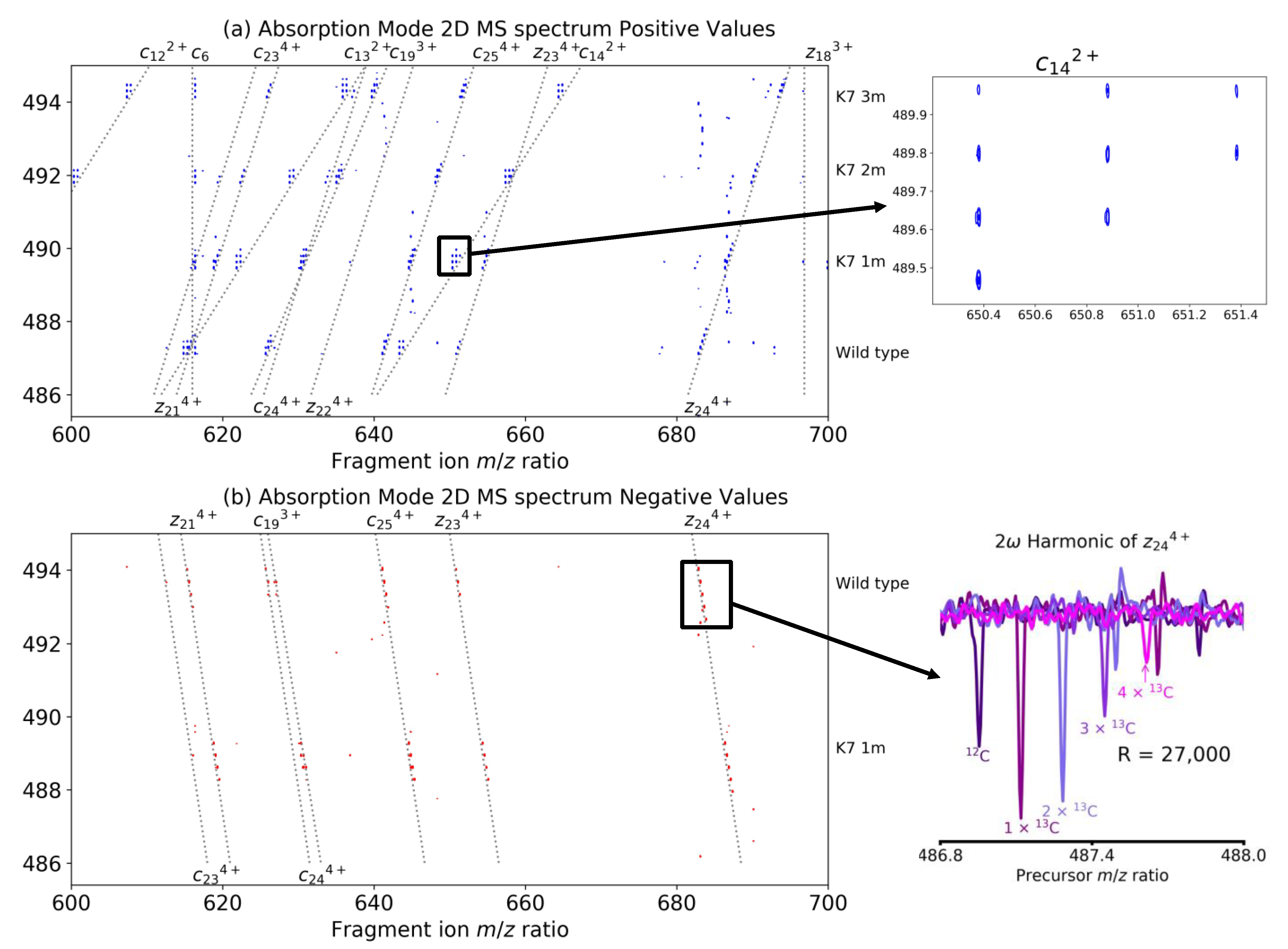 Molecules 26 03388 g004 Molecules 26 03388 g004