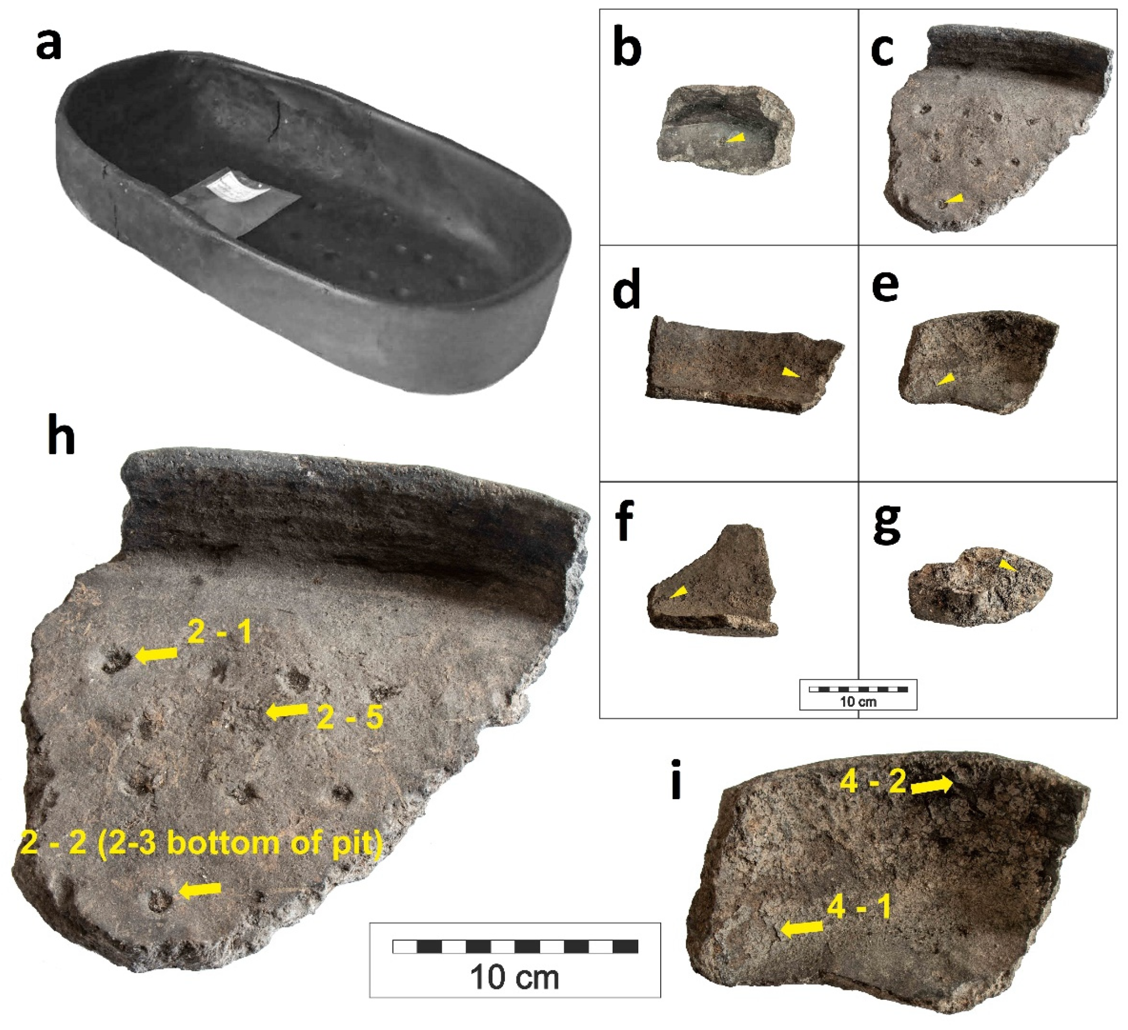 Molecules 26 03391 g001 Molecules 26 03391 g001