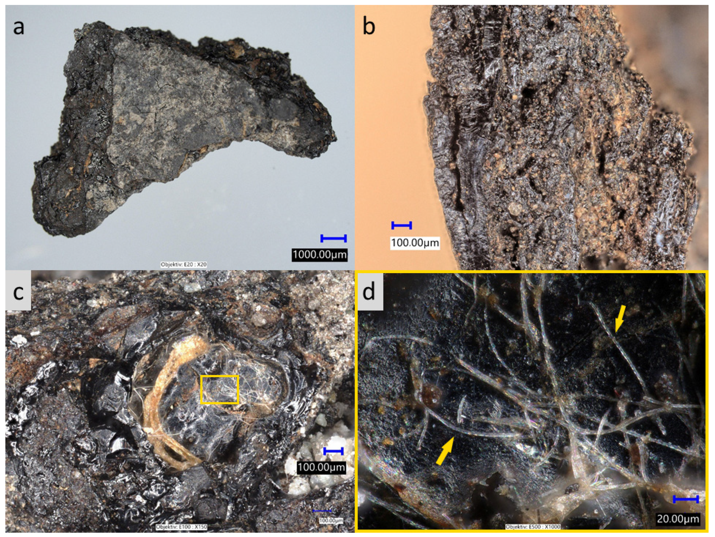 Molecules 26 03391 g003 Molecules 26 03391 g003
