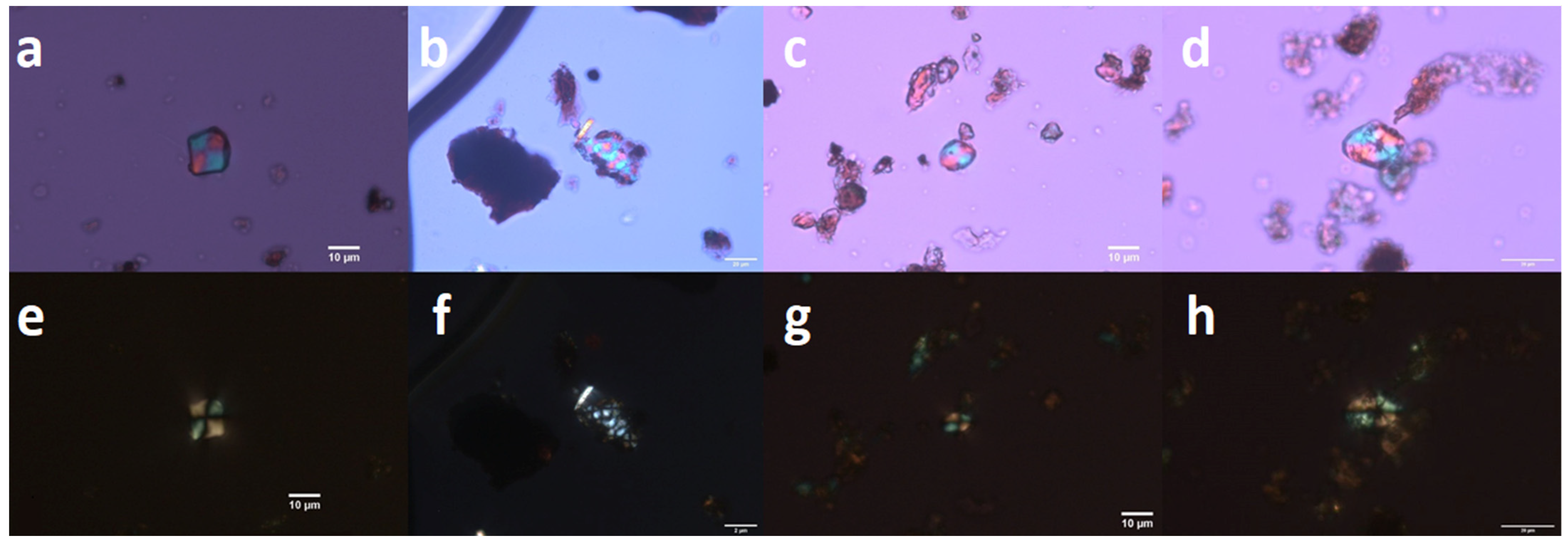 Molecules 26 03391 g005 Molecules 26 03391 g005