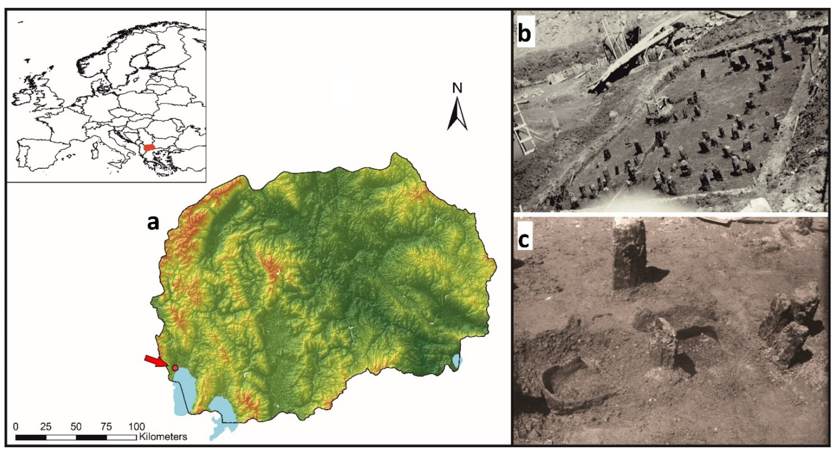 Molecules 26 03391 g006 Molecules 26 03391 g006