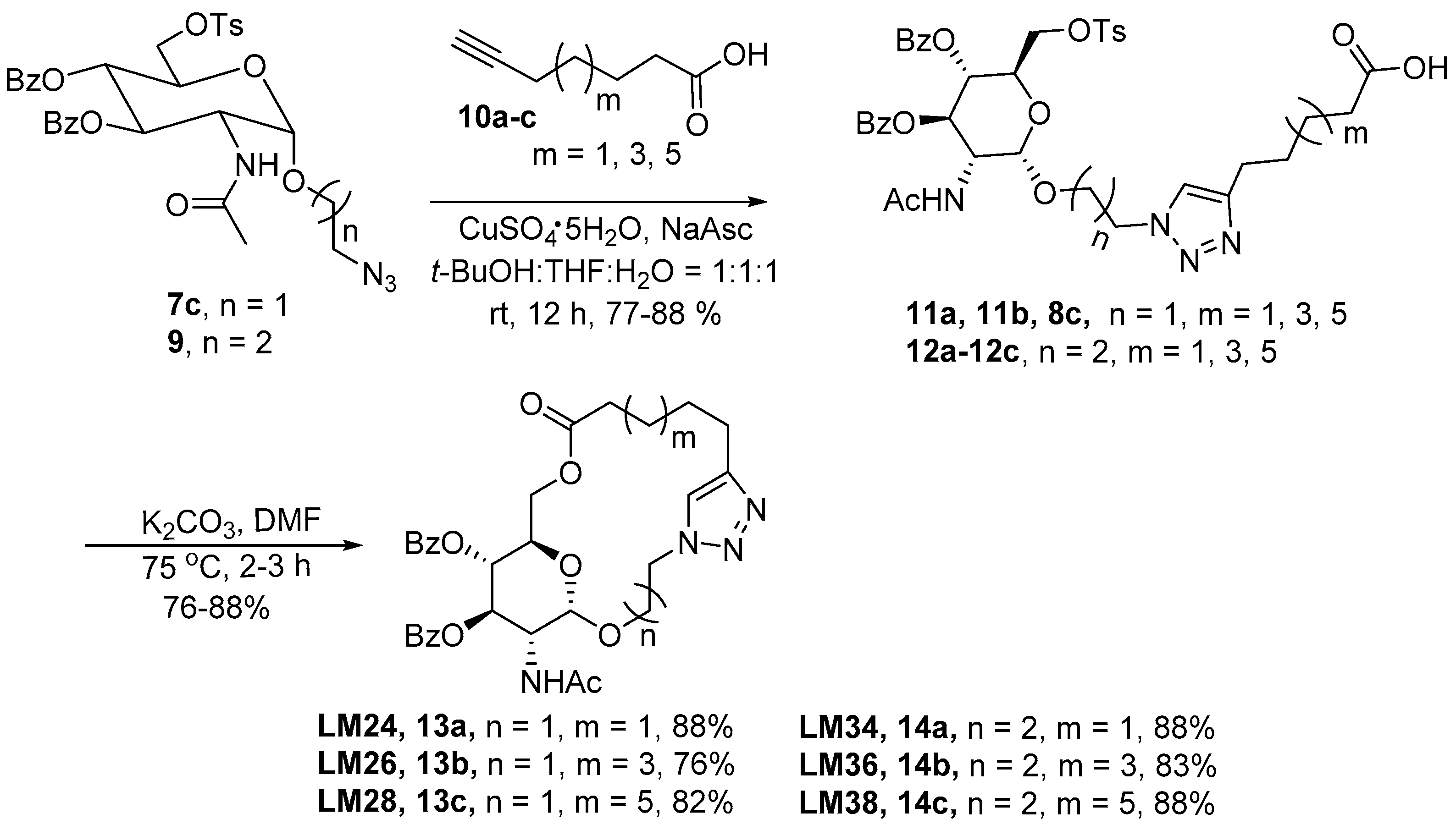Molecules 26 03394 sch002