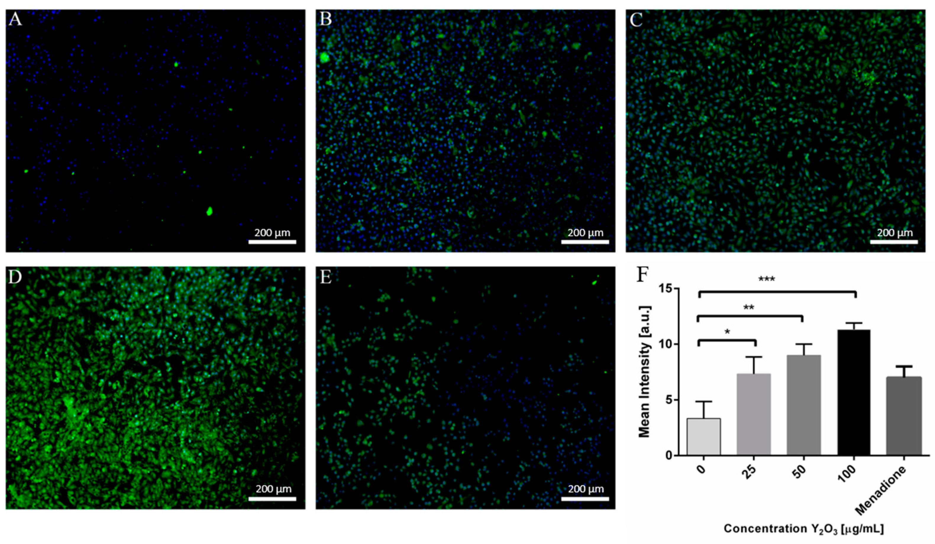 Molecules 26 03403 g002 Molecules 26 03403 g002