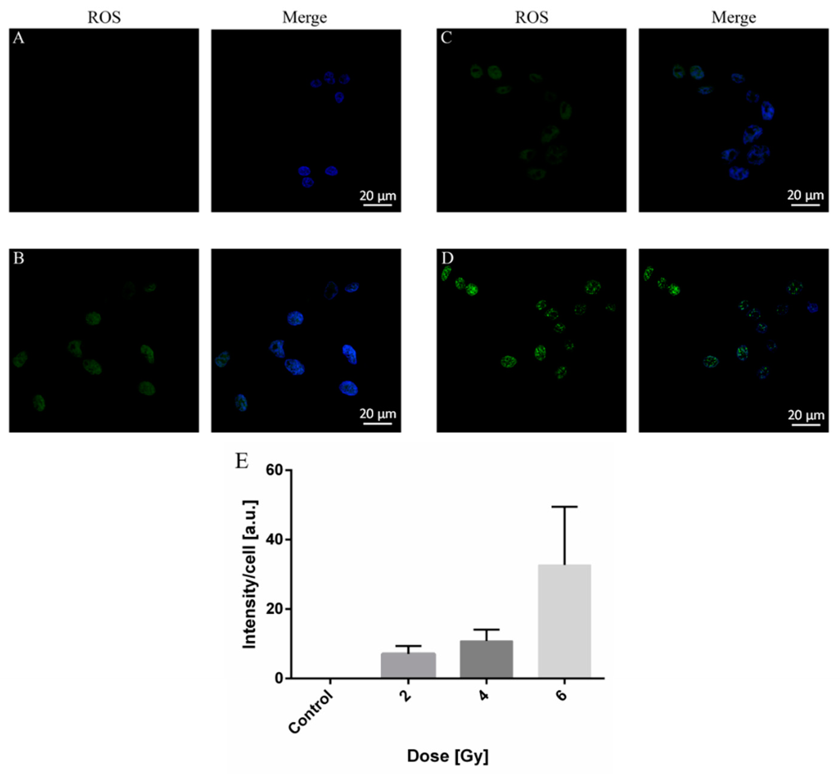 Molecules 26 03403 g003 Molecules 26 03403 g003