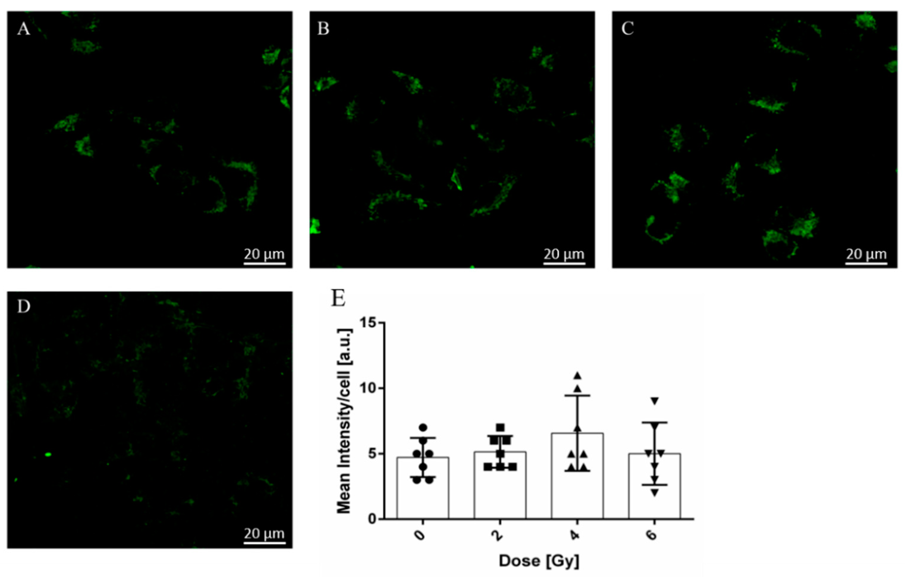 Molecules 26 03403 g004 Molecules 26 03403 g004