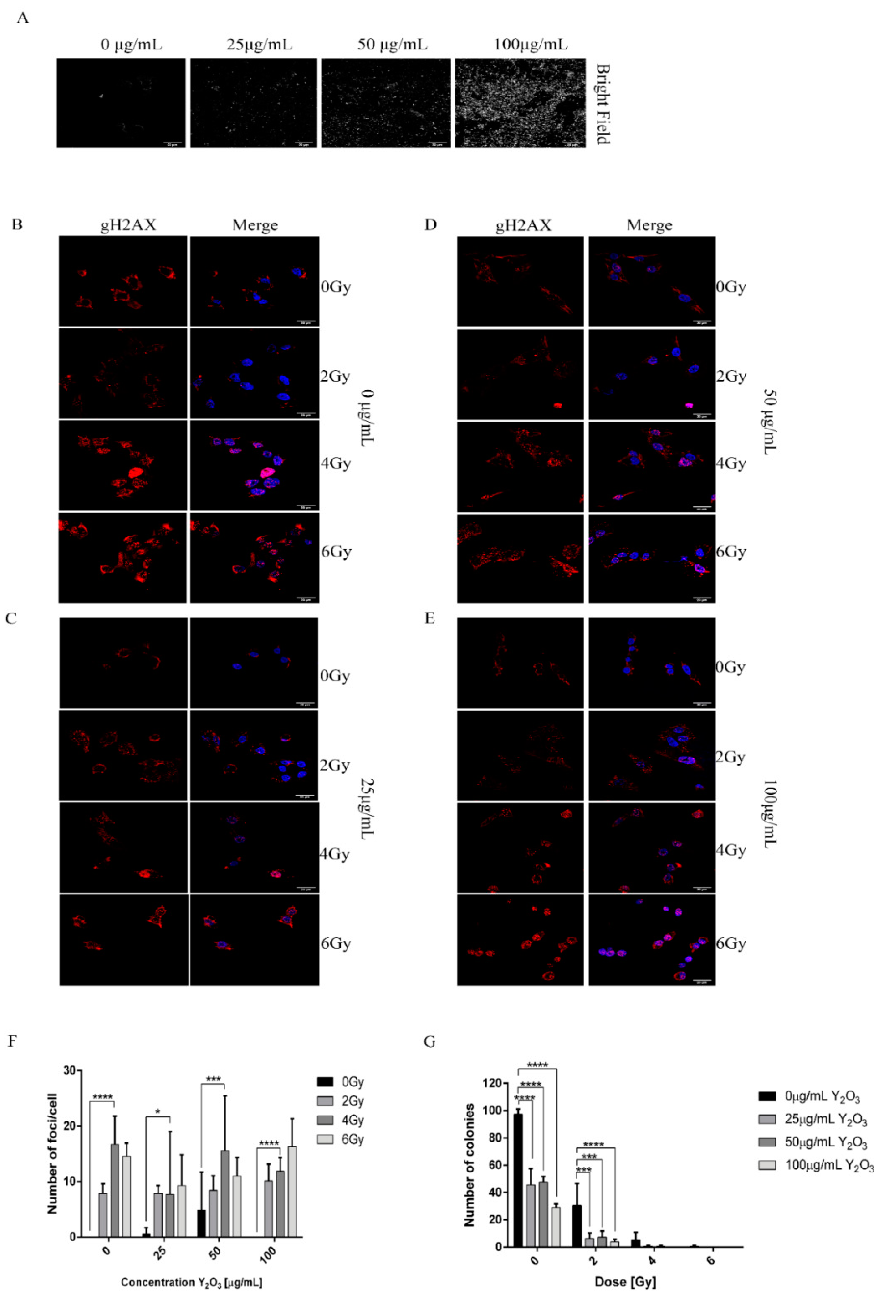 Molecules 26 03403 g005 Molecules 26 03403 g005