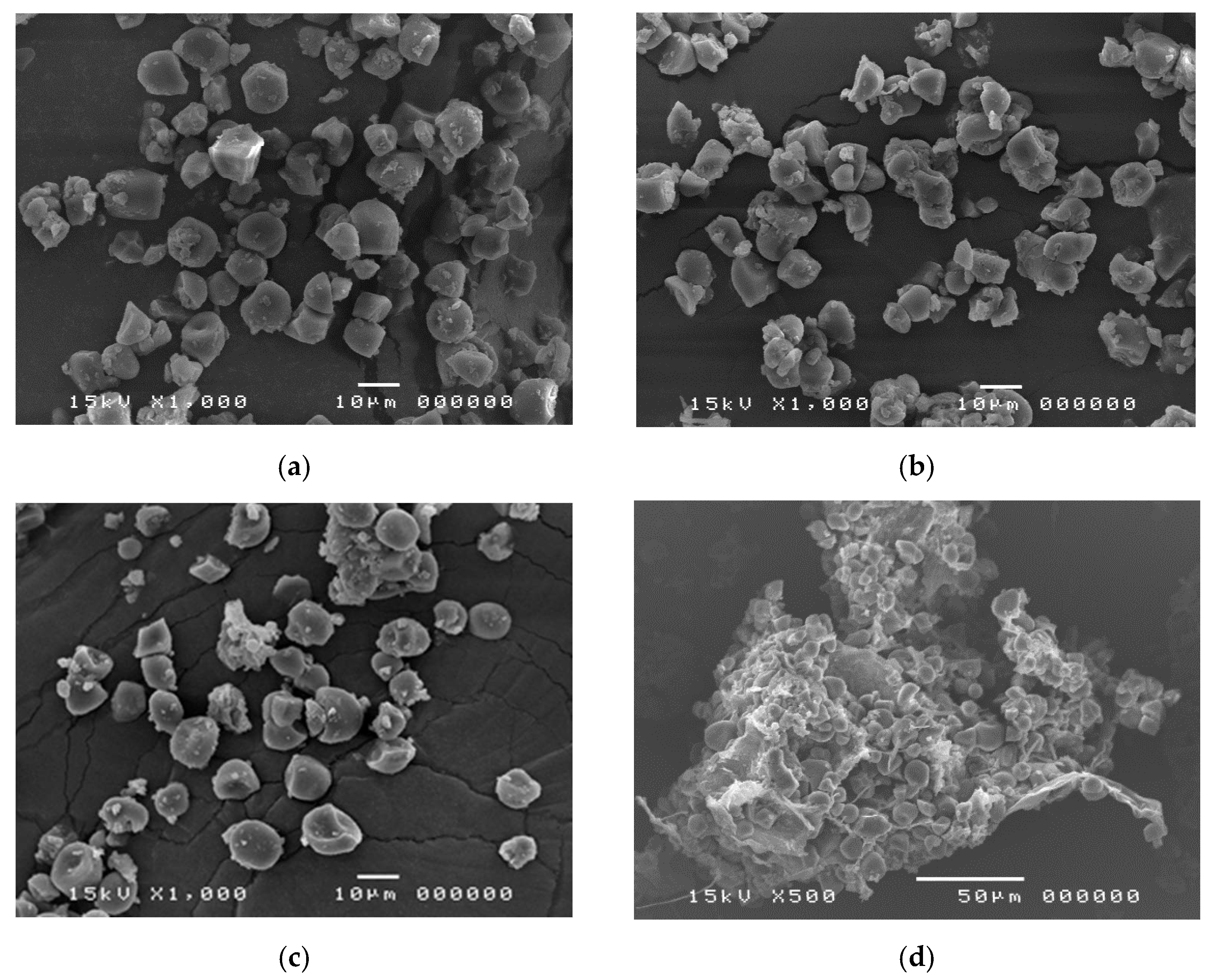 Molecules 26 03405 g001 Molecules 26 03405 g001