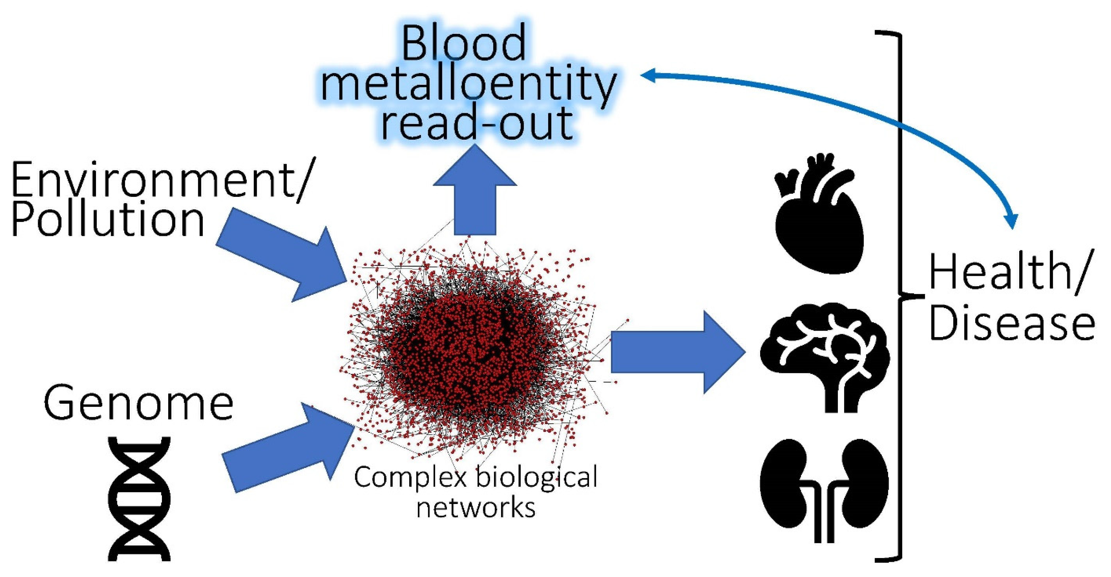 Molecules 26 03408 g001 Molecules 26 03408 g001