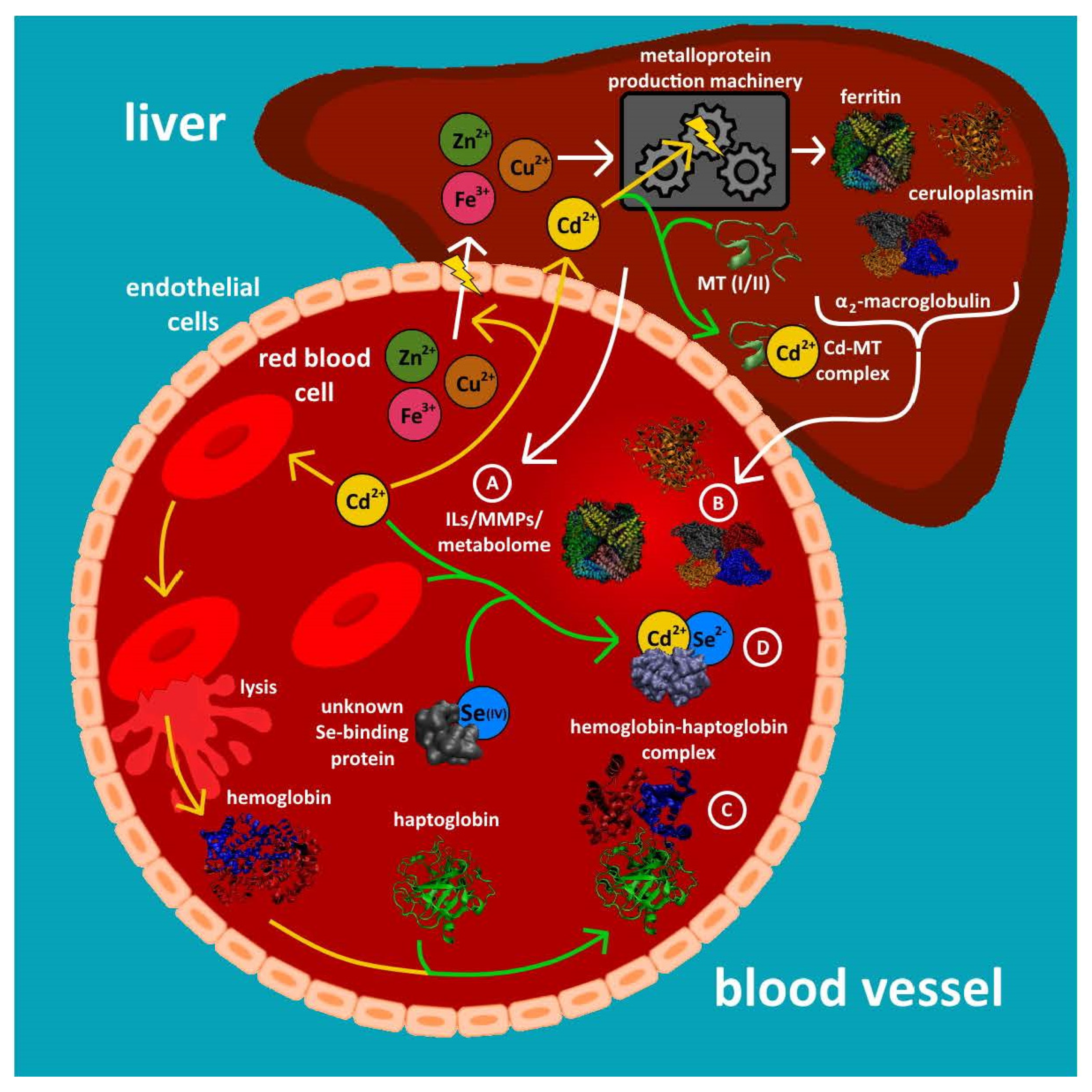 Molecules 26 03408 g002 Molecules 26 03408 g002