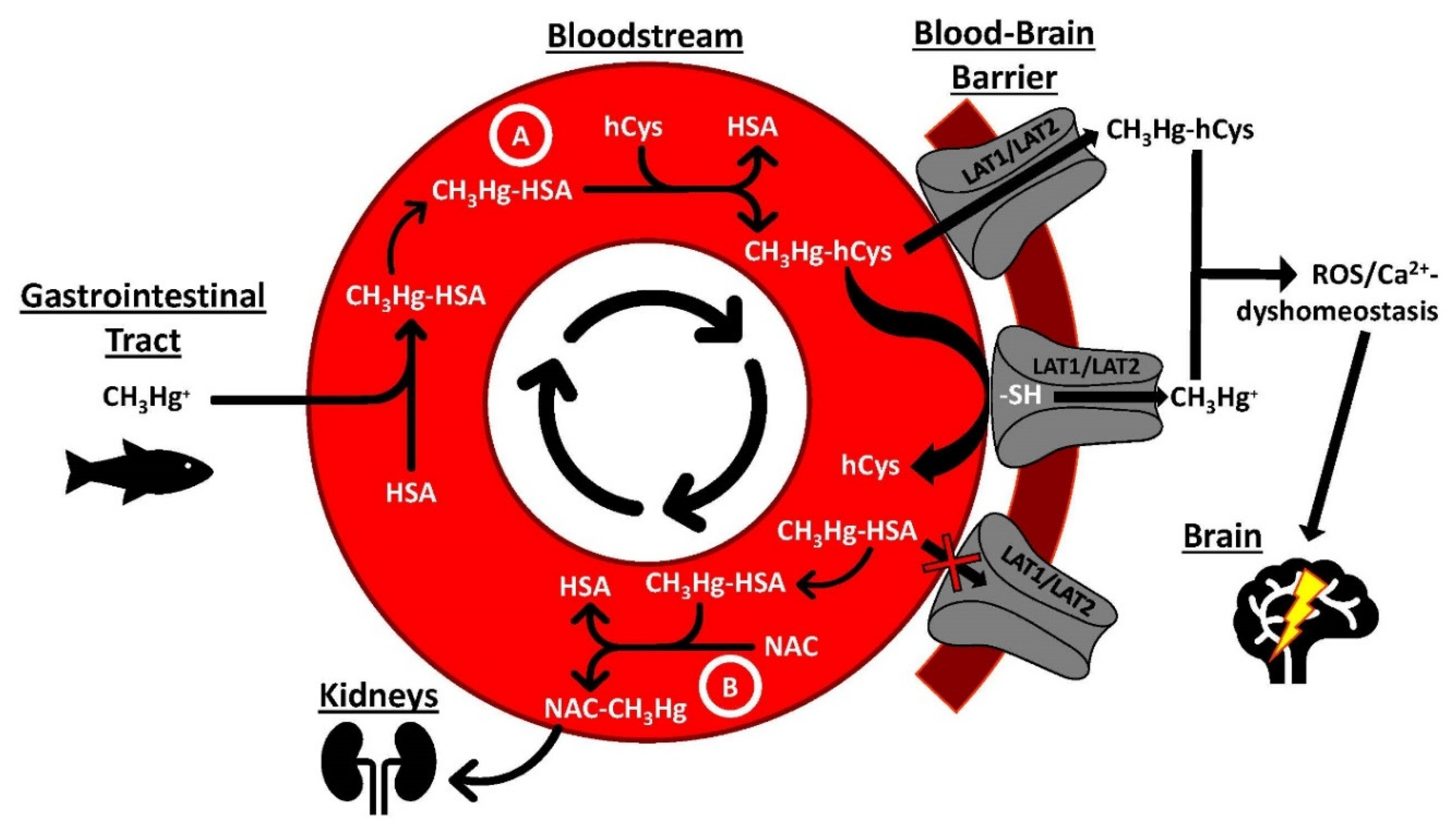 Molecules 26 03408 g003 Molecules 26 03408 g003