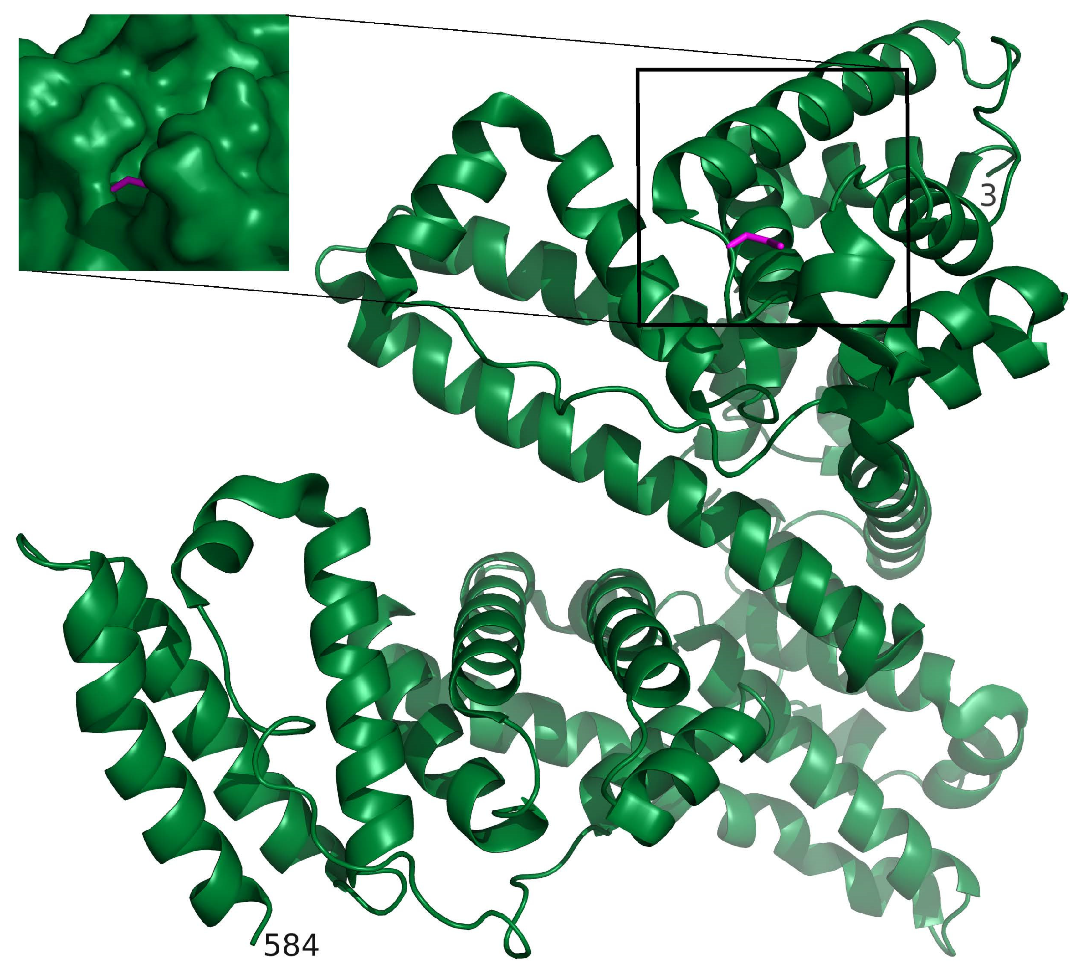 Molecules 26 03408 g004 Molecules 26 03408 g004
