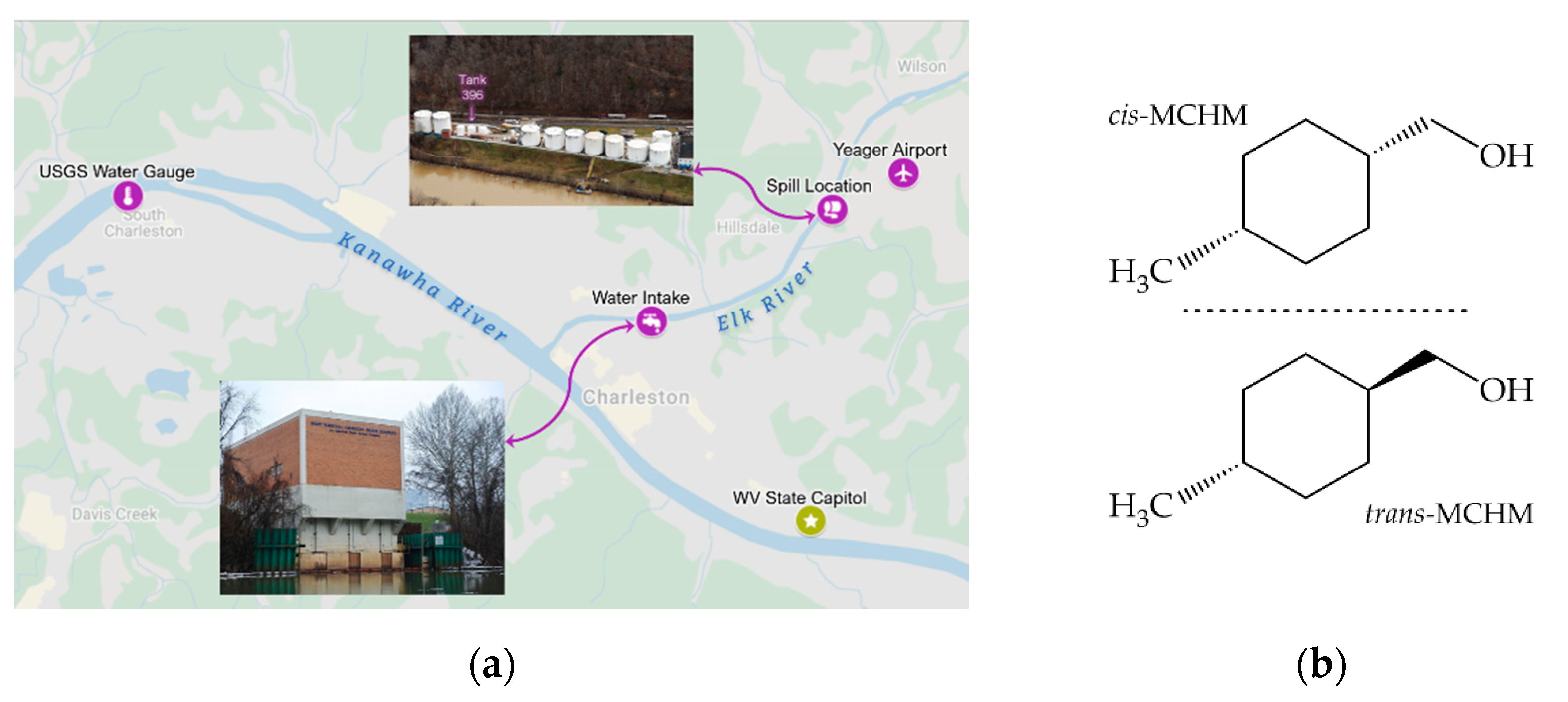 Molecules 26 03411 g001