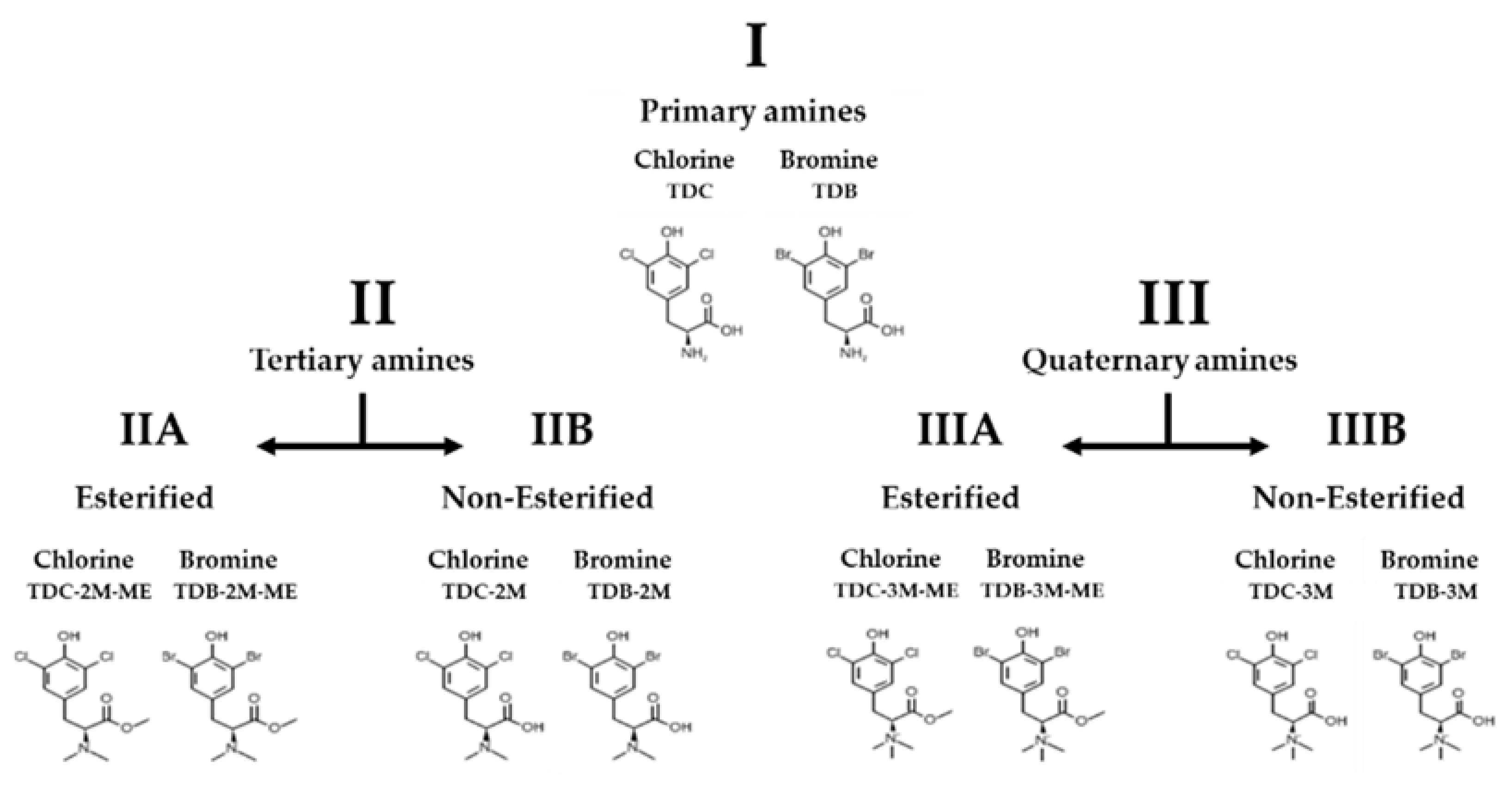 Molecules 26 03430 g001 Molecules 26 03430 g001