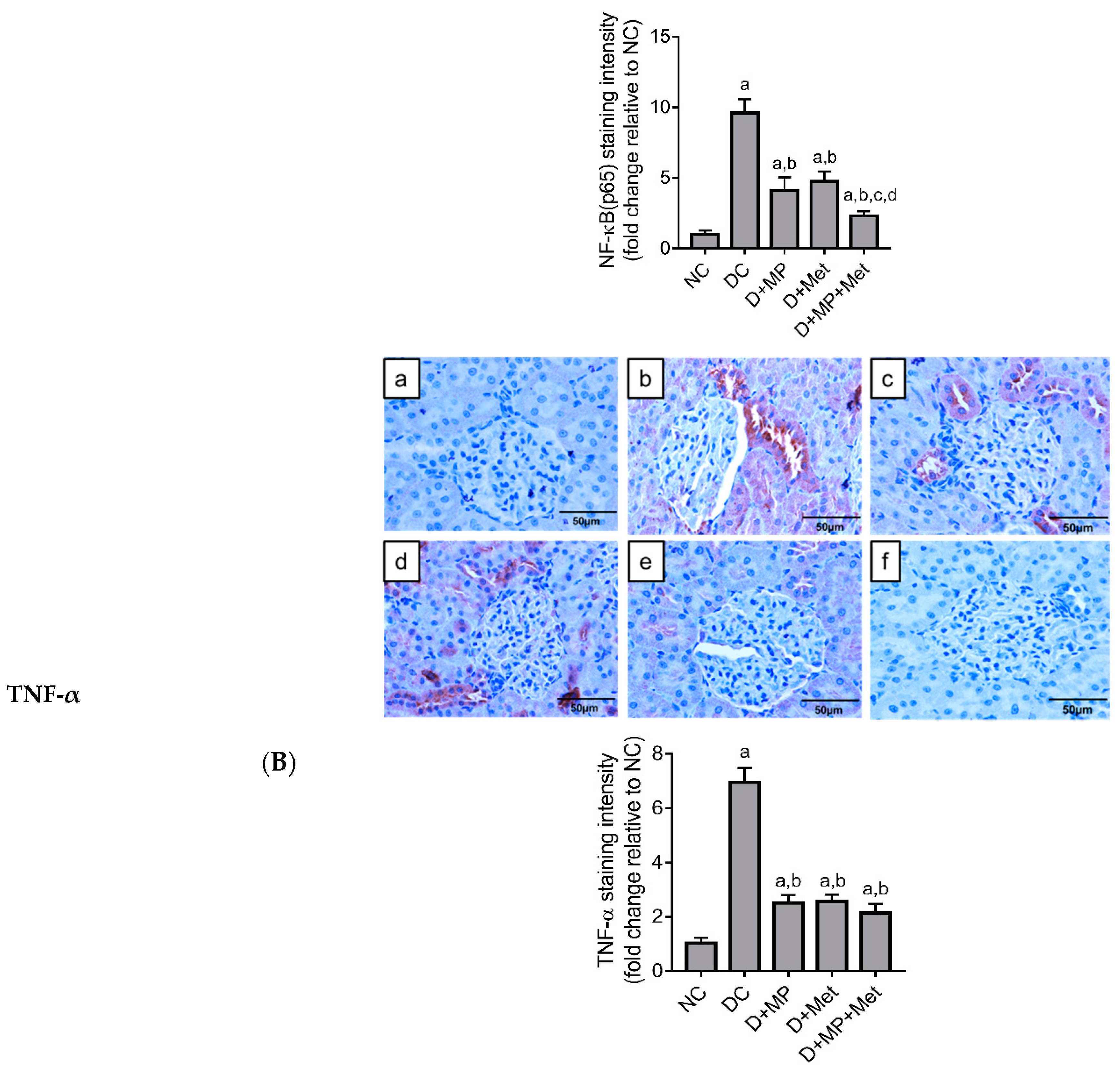 Molecules 26 03441 g005b