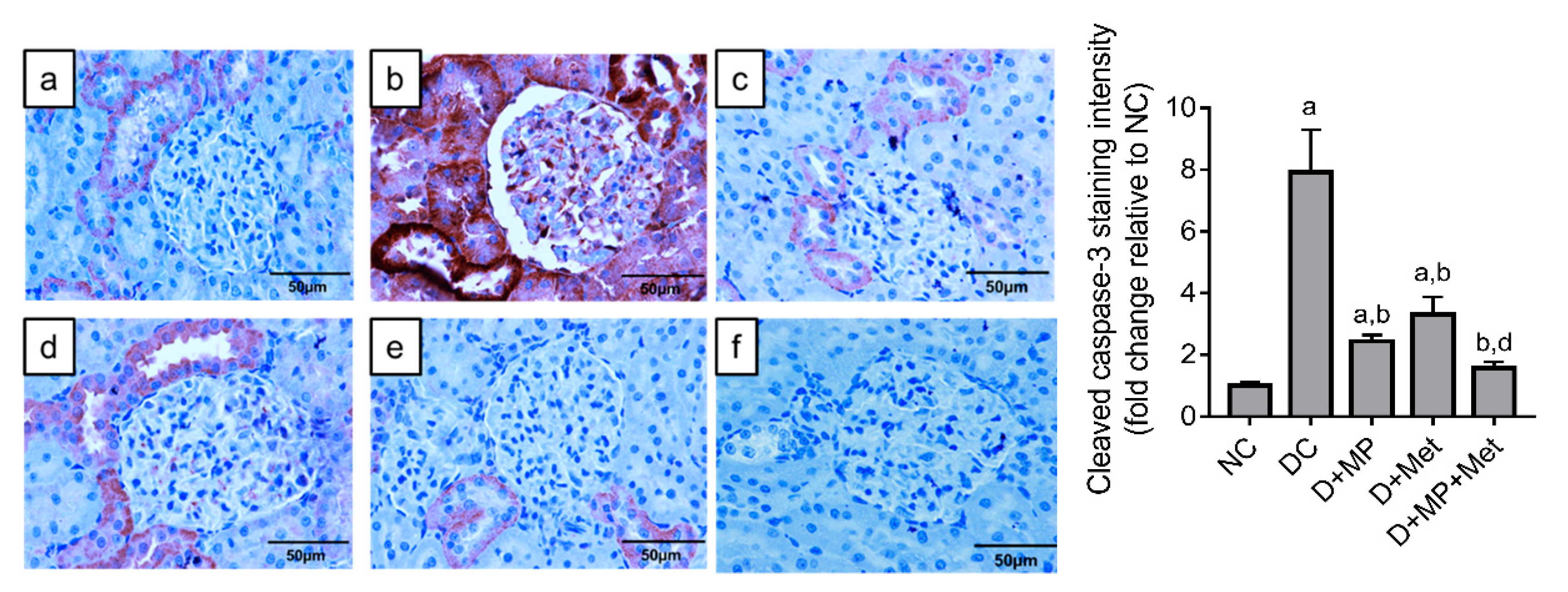Molecules 26 03441 g007