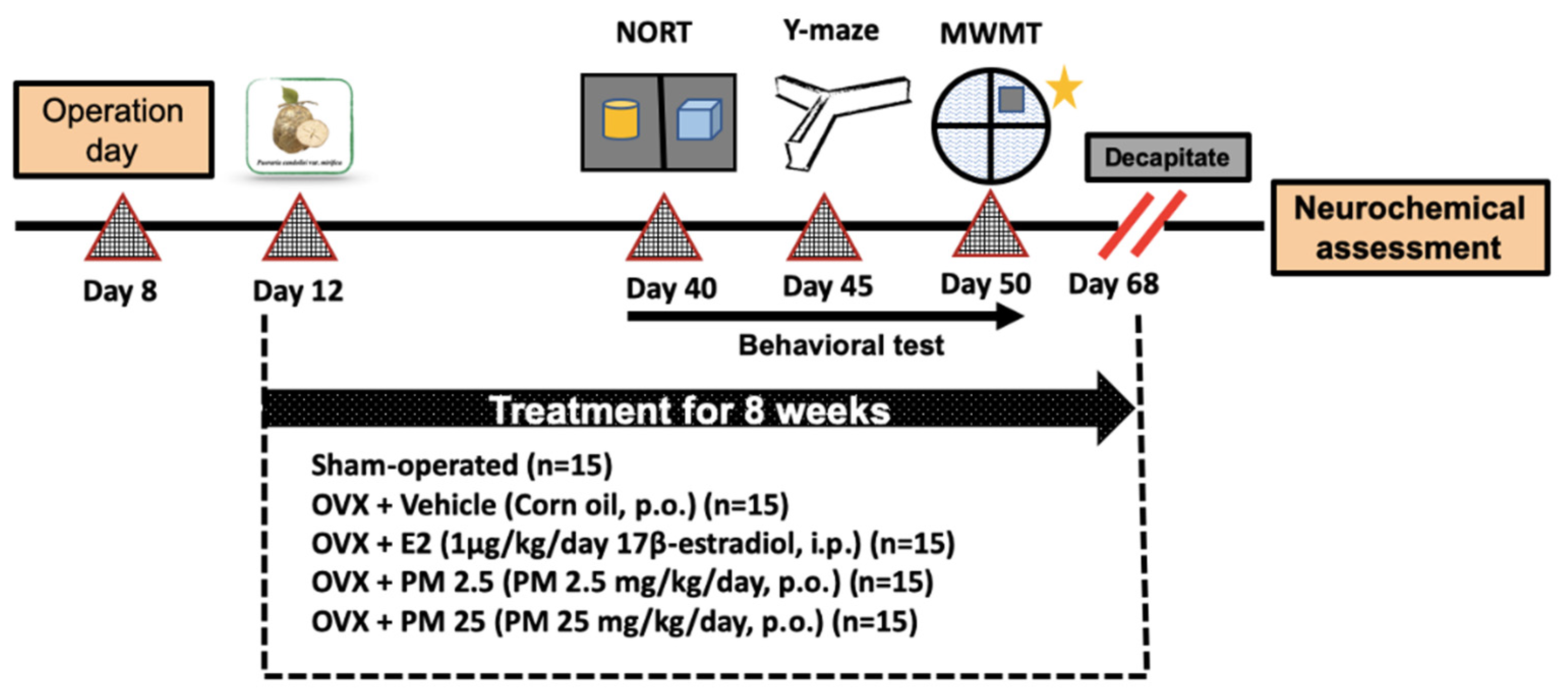 Molecules 26 03442 g004 Molecules 26 03442 g004