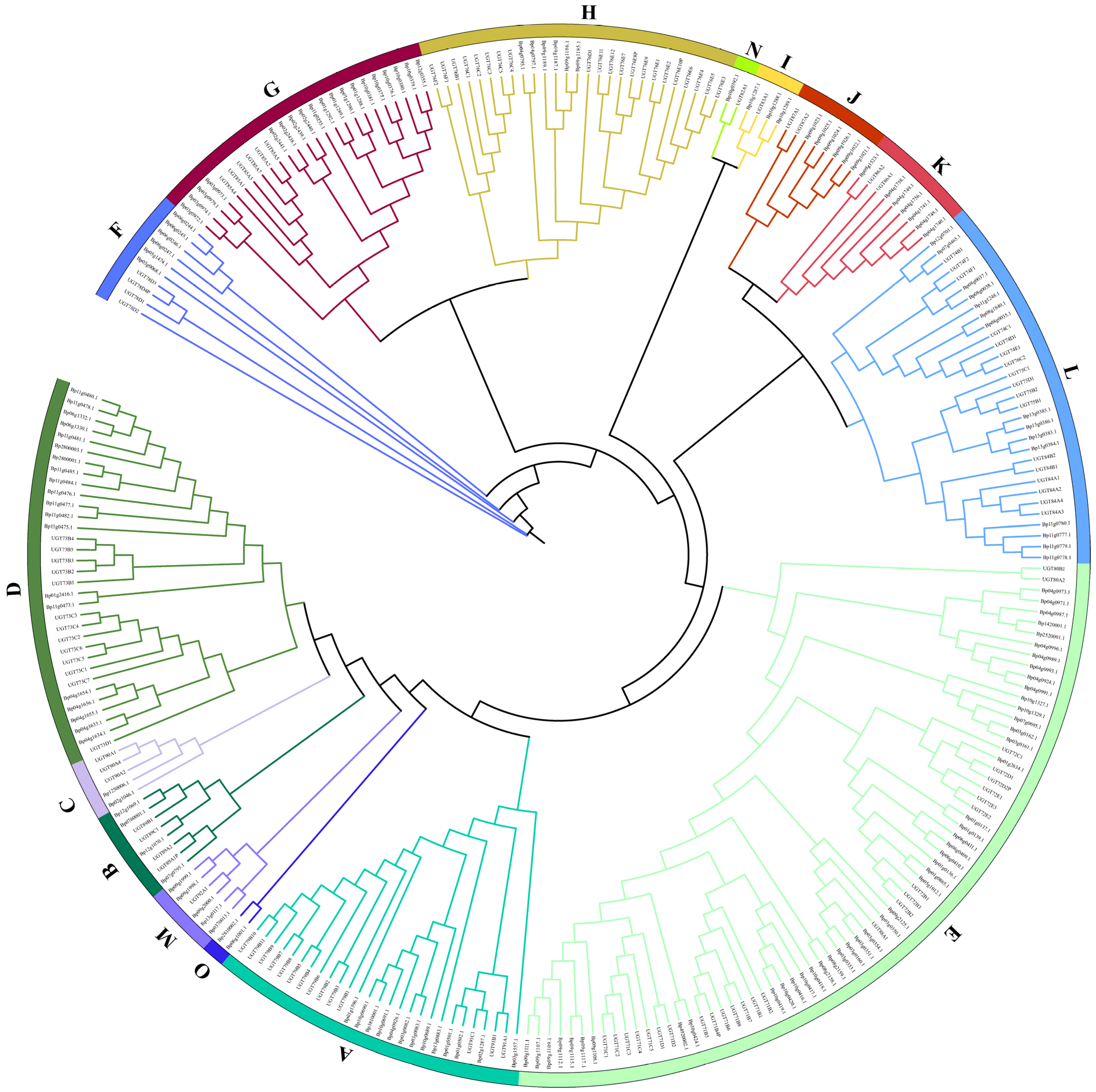 Molecules 26 03449 g001