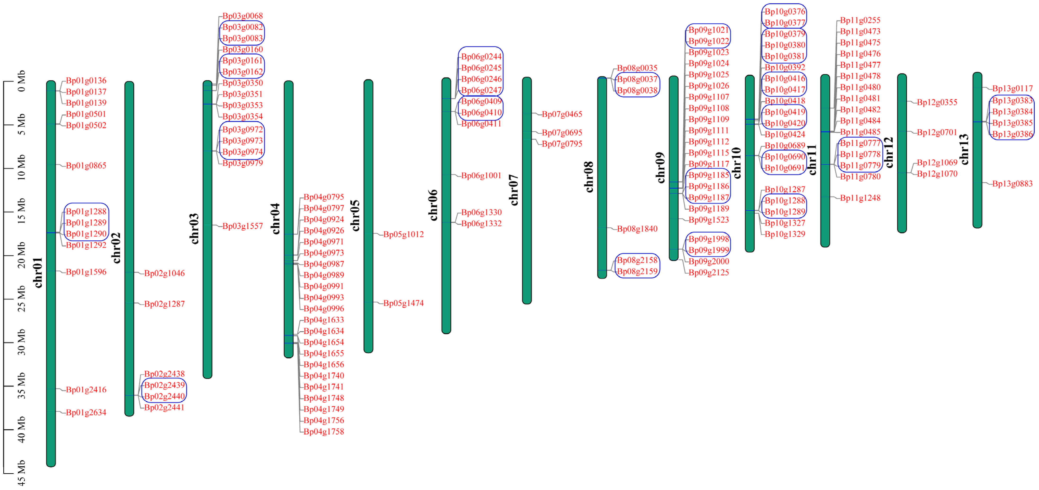 Molecules 26 03449 g002