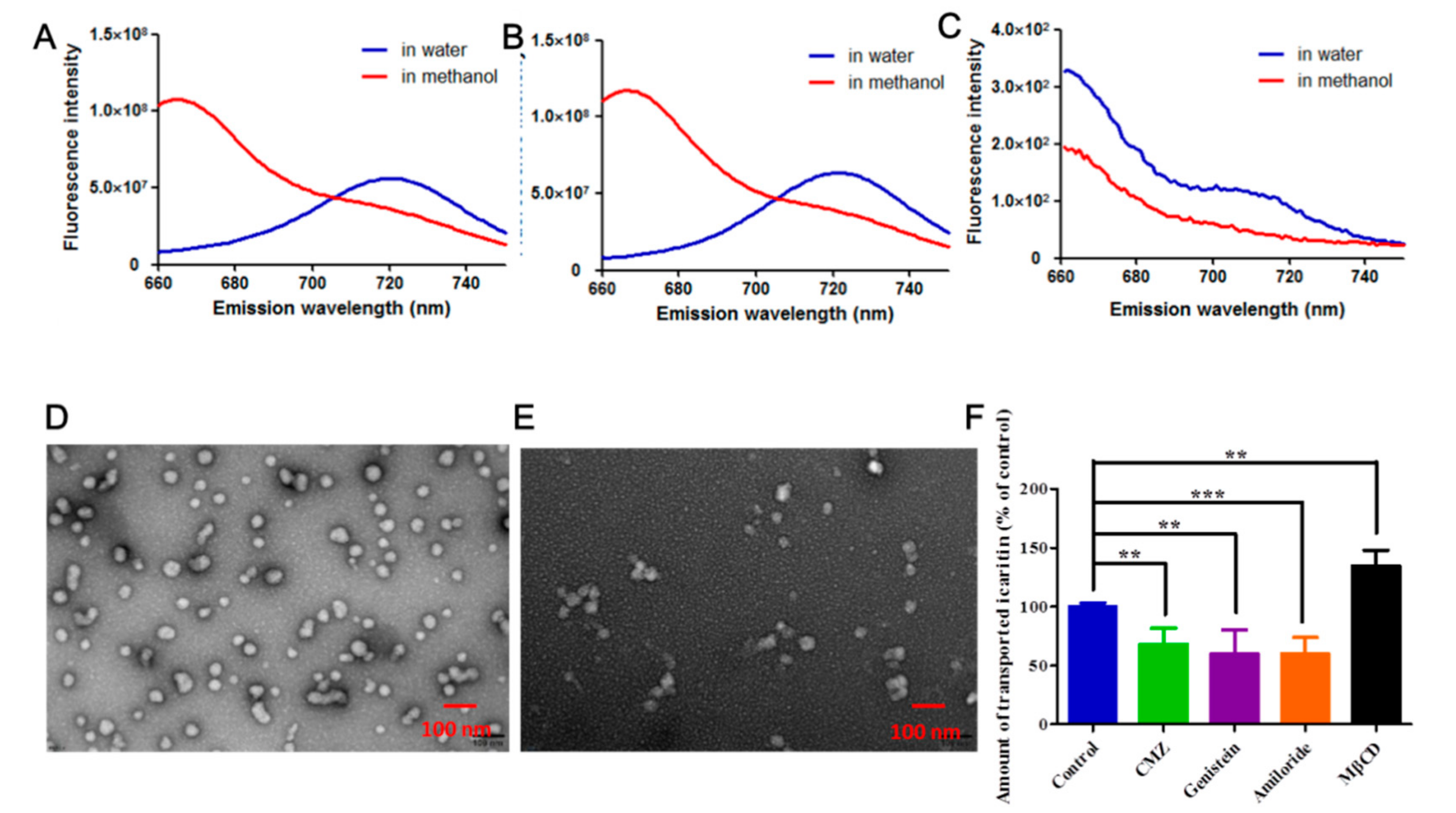 Molecules 26 03450 g007