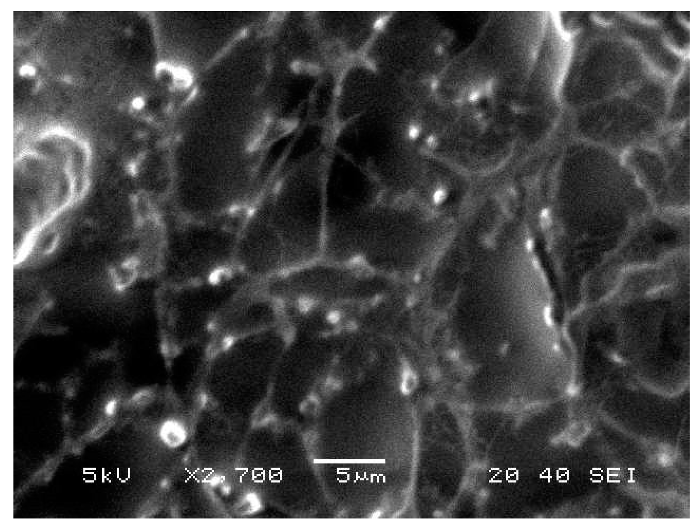Molecules 26 03454 g006