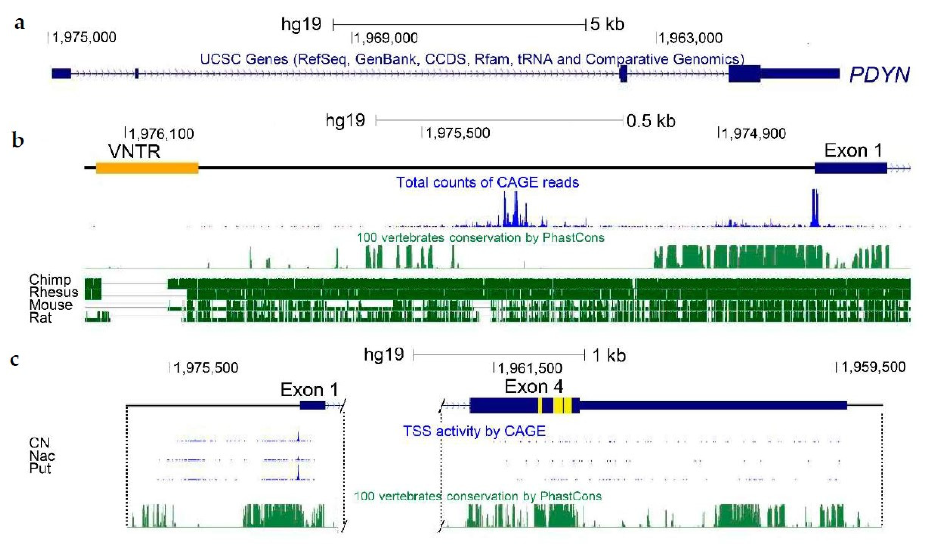 Molecules 26 03458 g001 Molecules 26 03458 g001