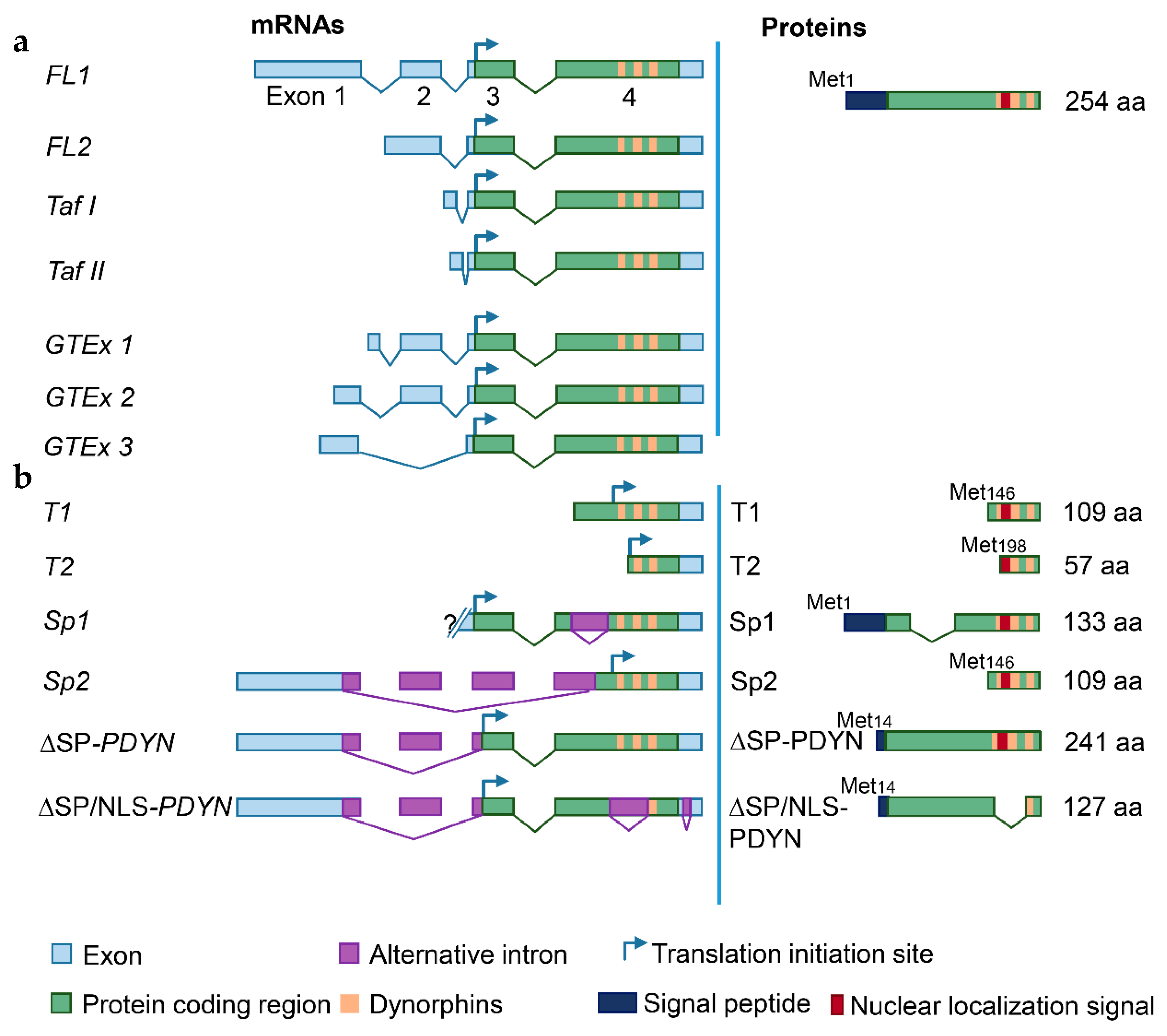 Molecules 26 03458 g002 Molecules 26 03458 g002
