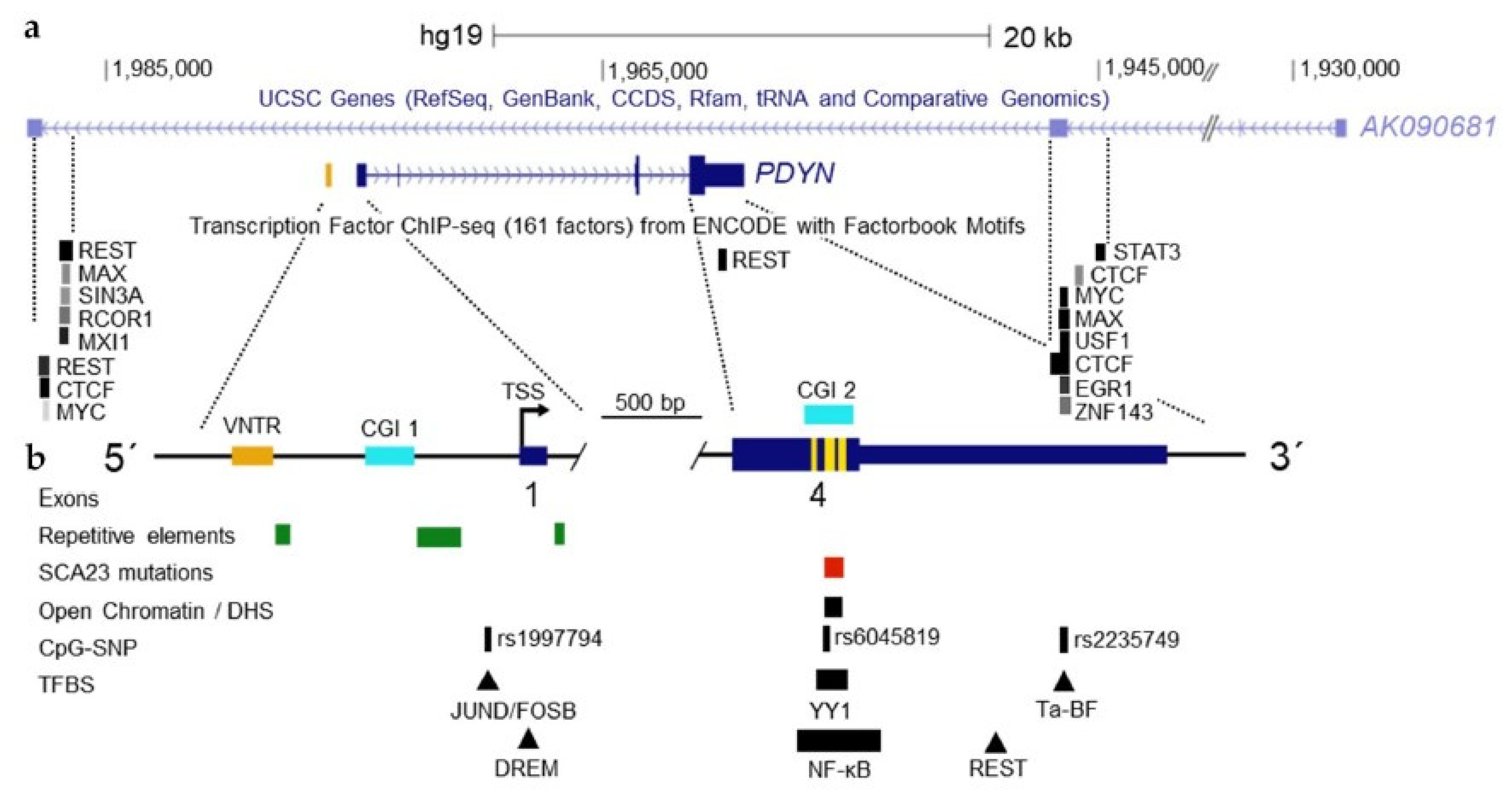 Molecules 26 03458 g004 Molecules 26 03458 g004