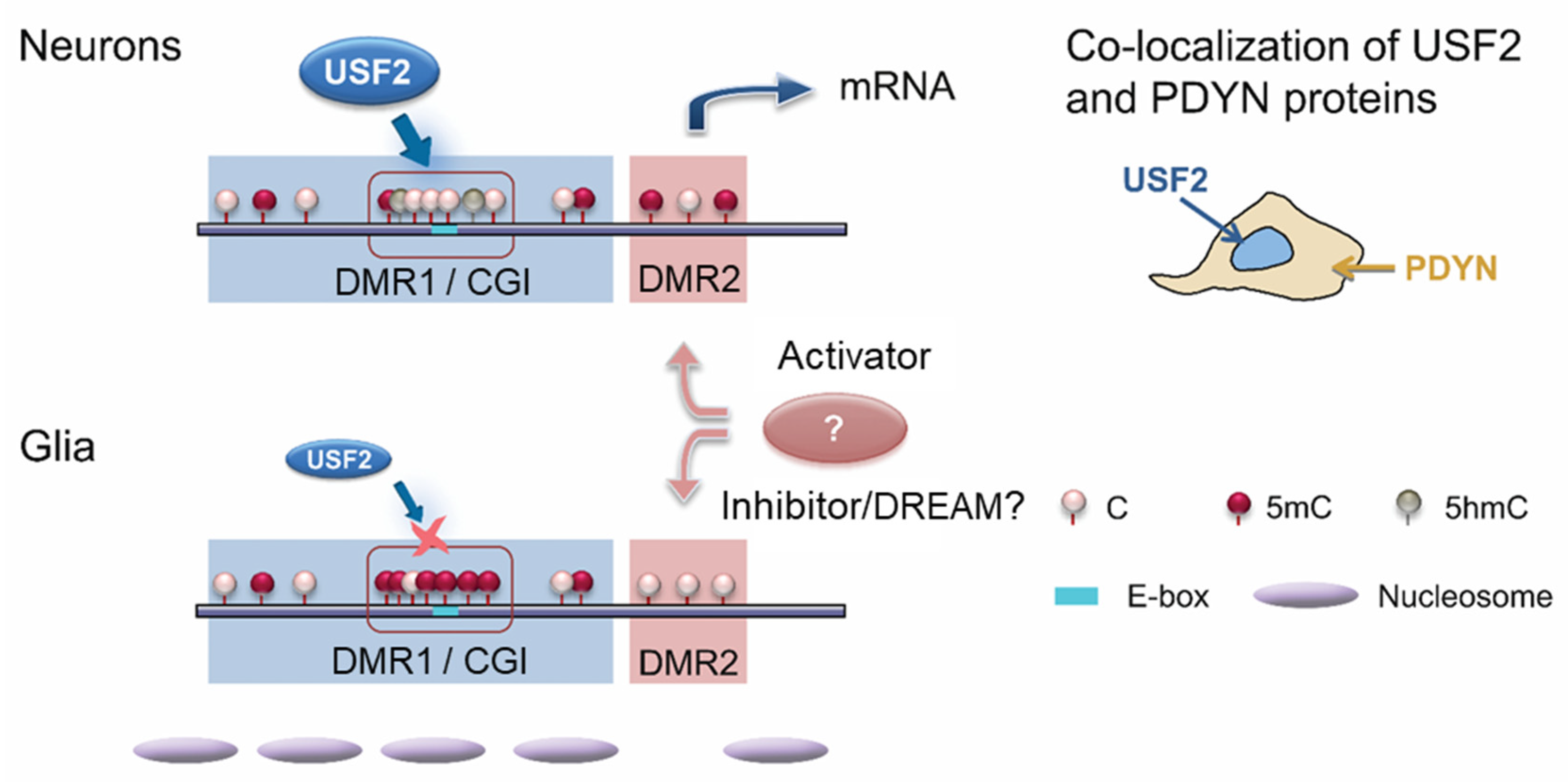 Molecules 26 03458 g005 Molecules 26 03458 g005