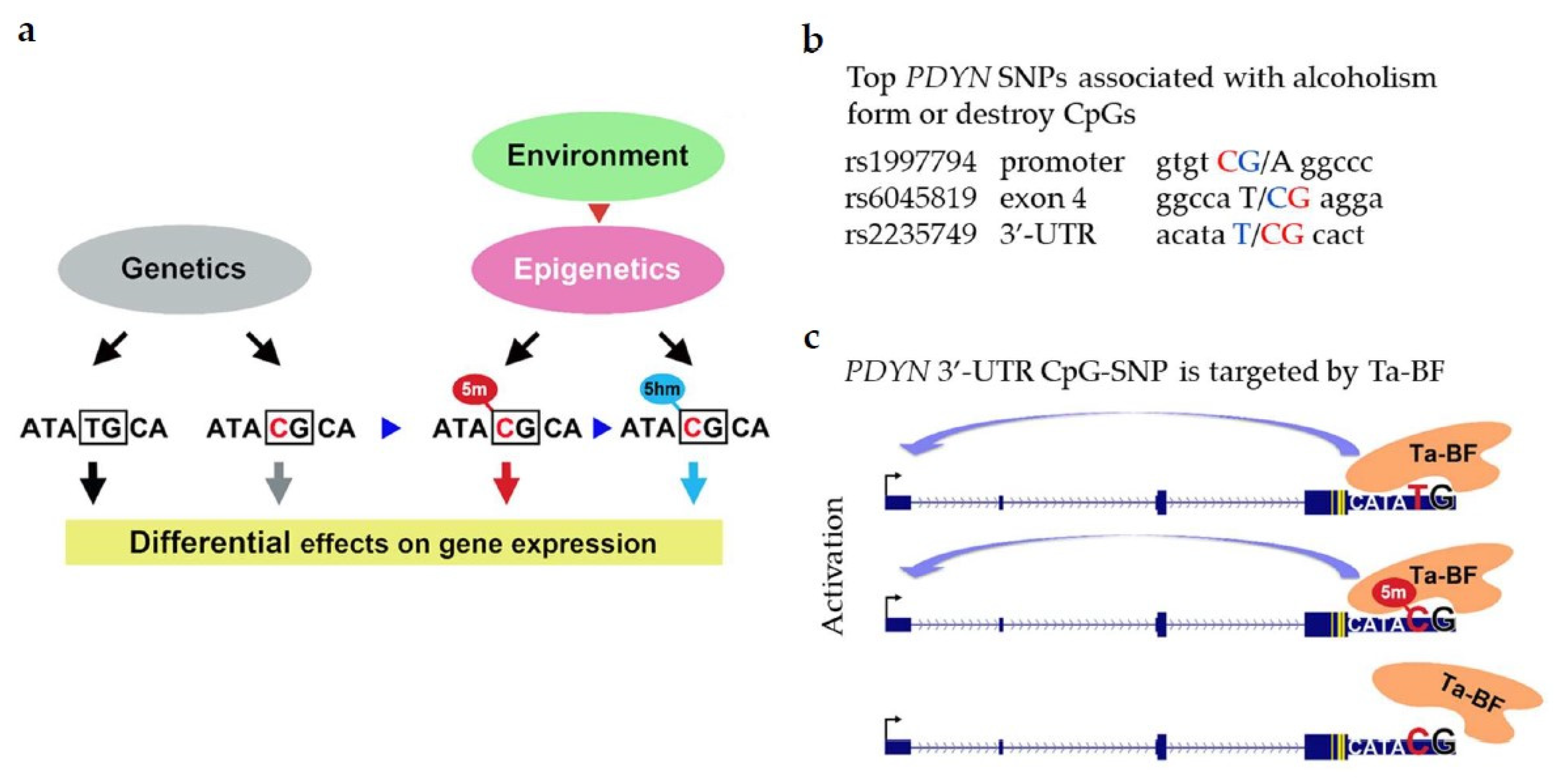 Molecules 26 03458 g006 Molecules 26 03458 g006