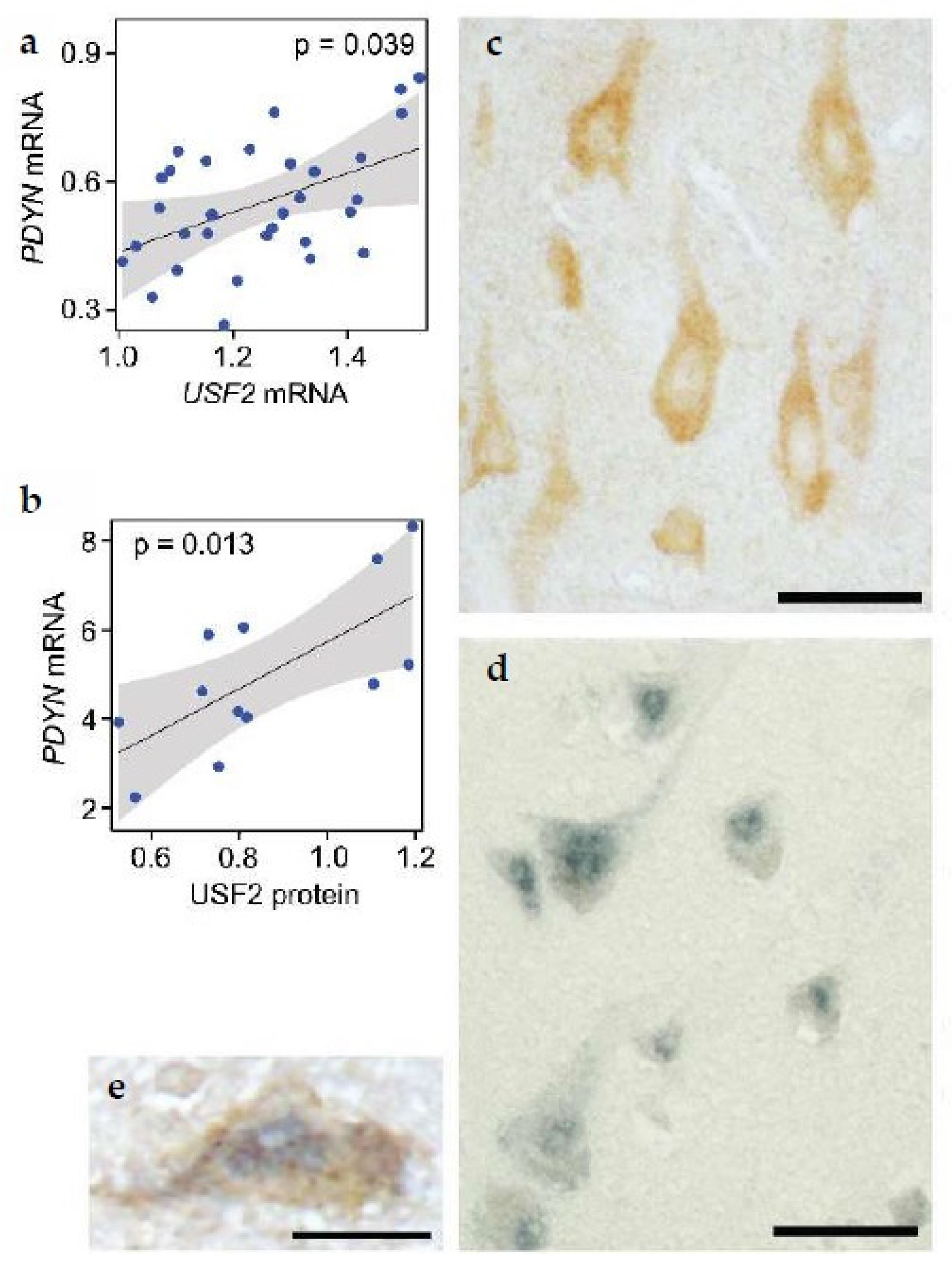 Molecules 26 03458 g007 Molecules 26 03458 g007