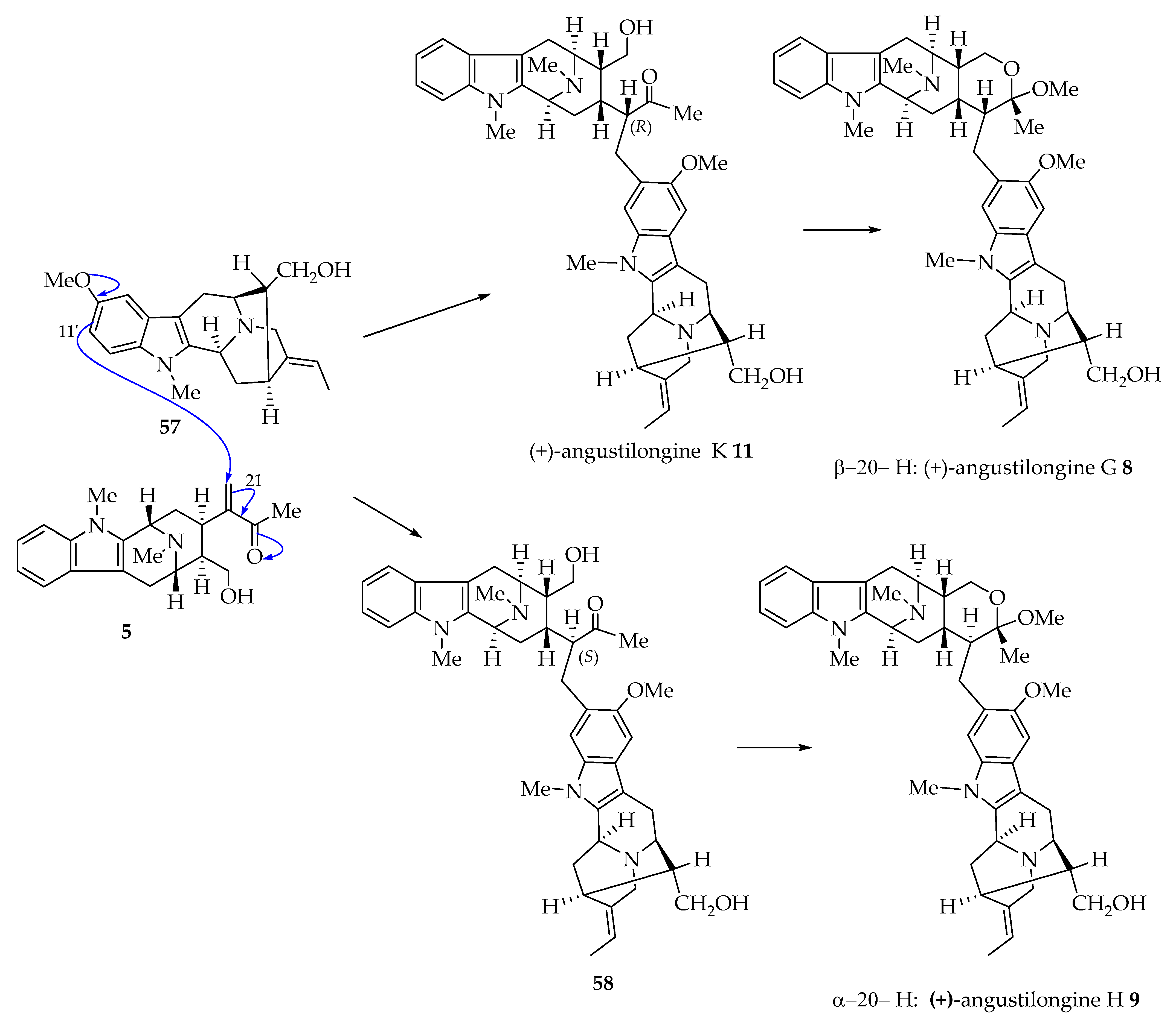 Molecules 26 03459 g001 Molecules 26 03459 g001