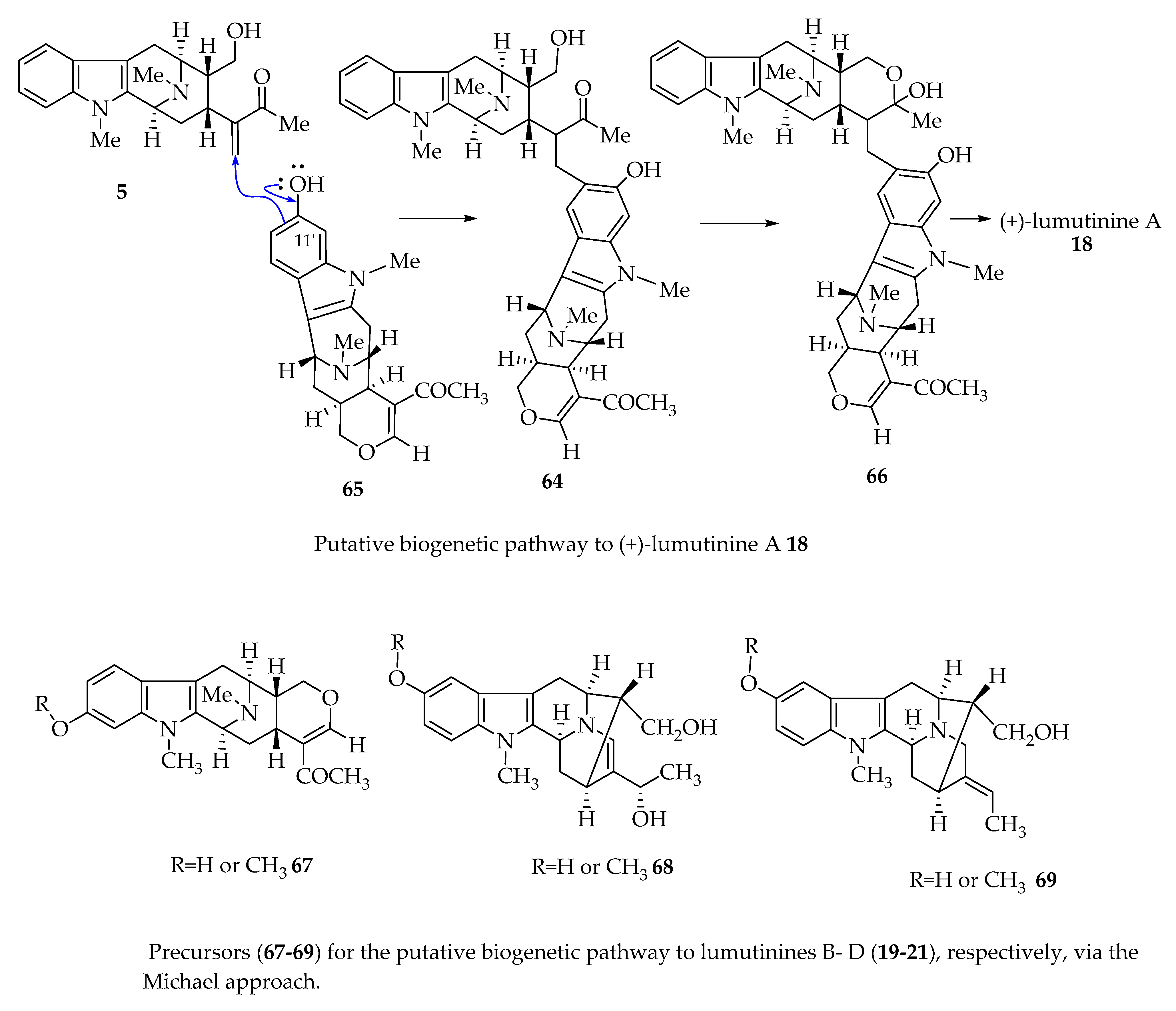Molecules 26 03459 g004 Molecules 26 03459 g004