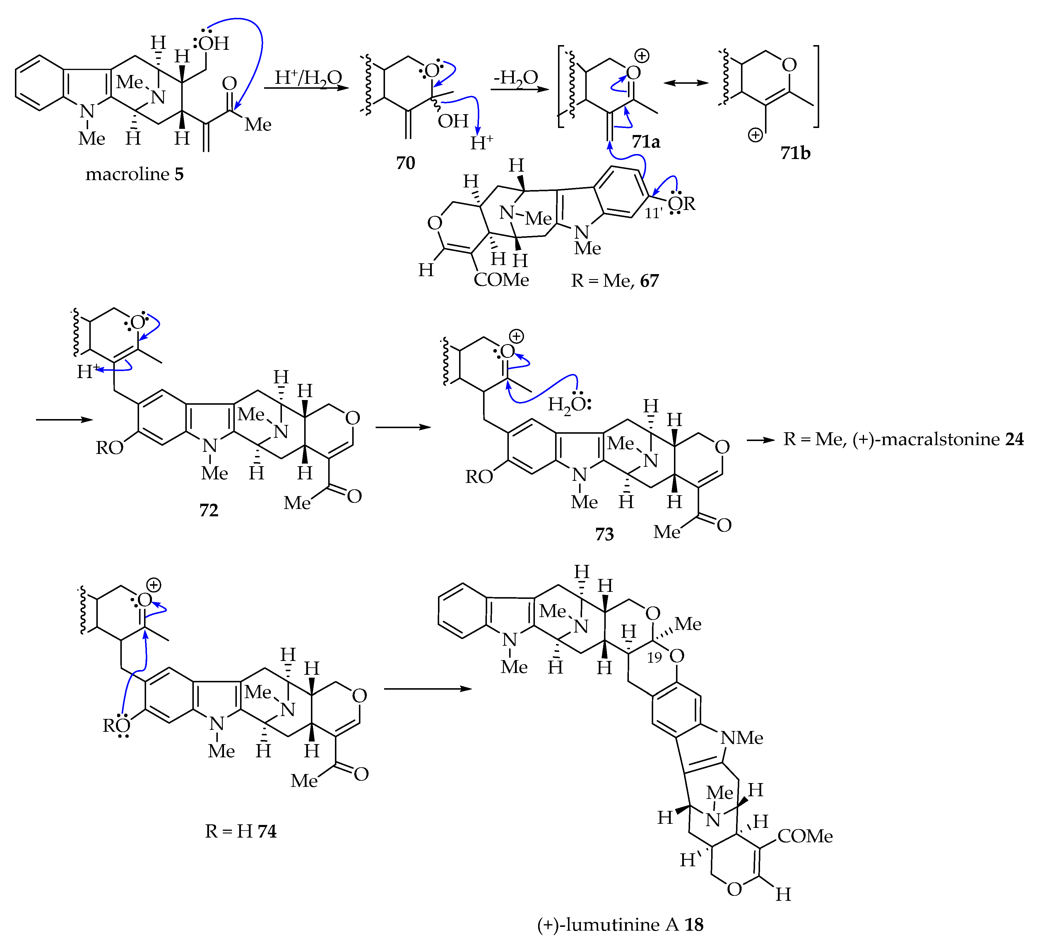Molecules 26 03459 g005 Molecules 26 03459 g005