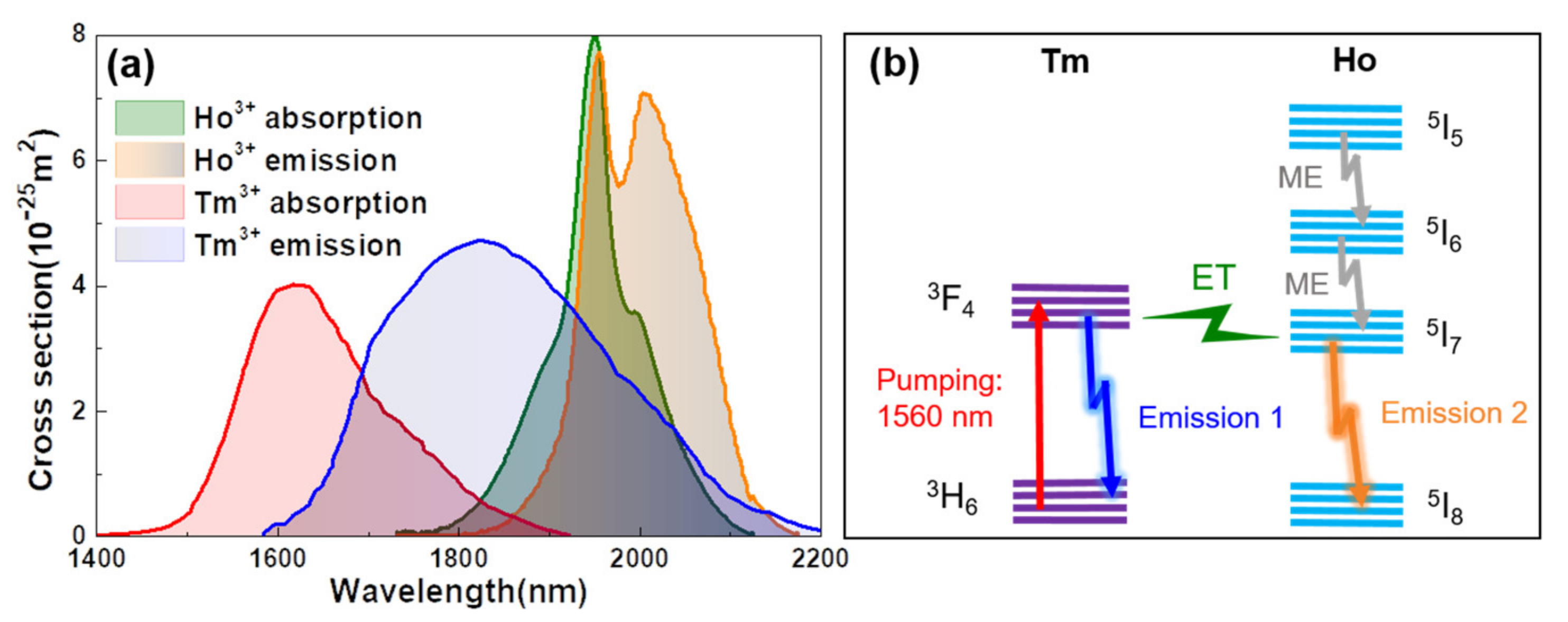 Molecules 26 03460 g006 Molecules 26 03460 g006