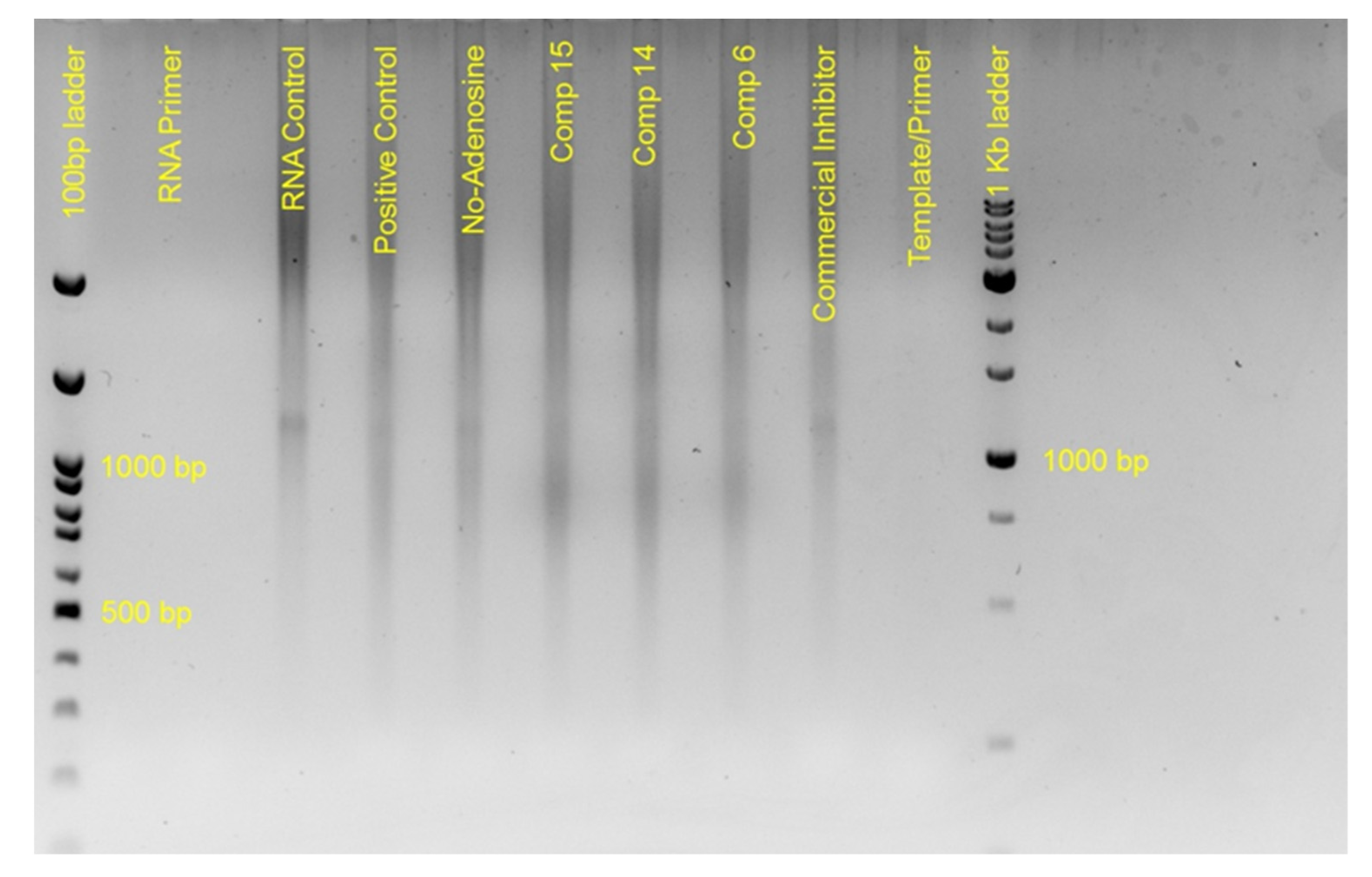 Molecules 26 03461 g008 Molecules 26 03461 g008