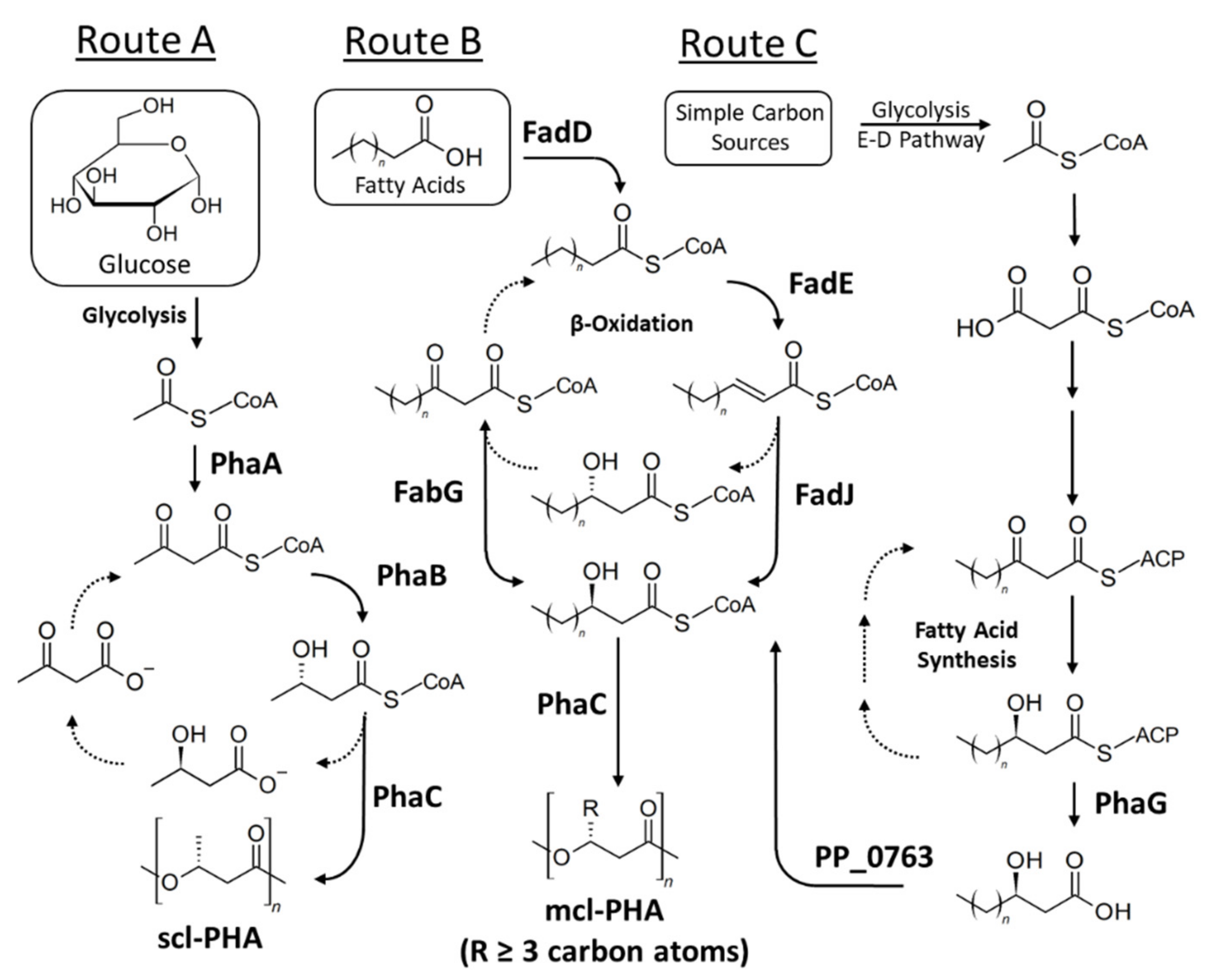 Molecules 26 03463 g002