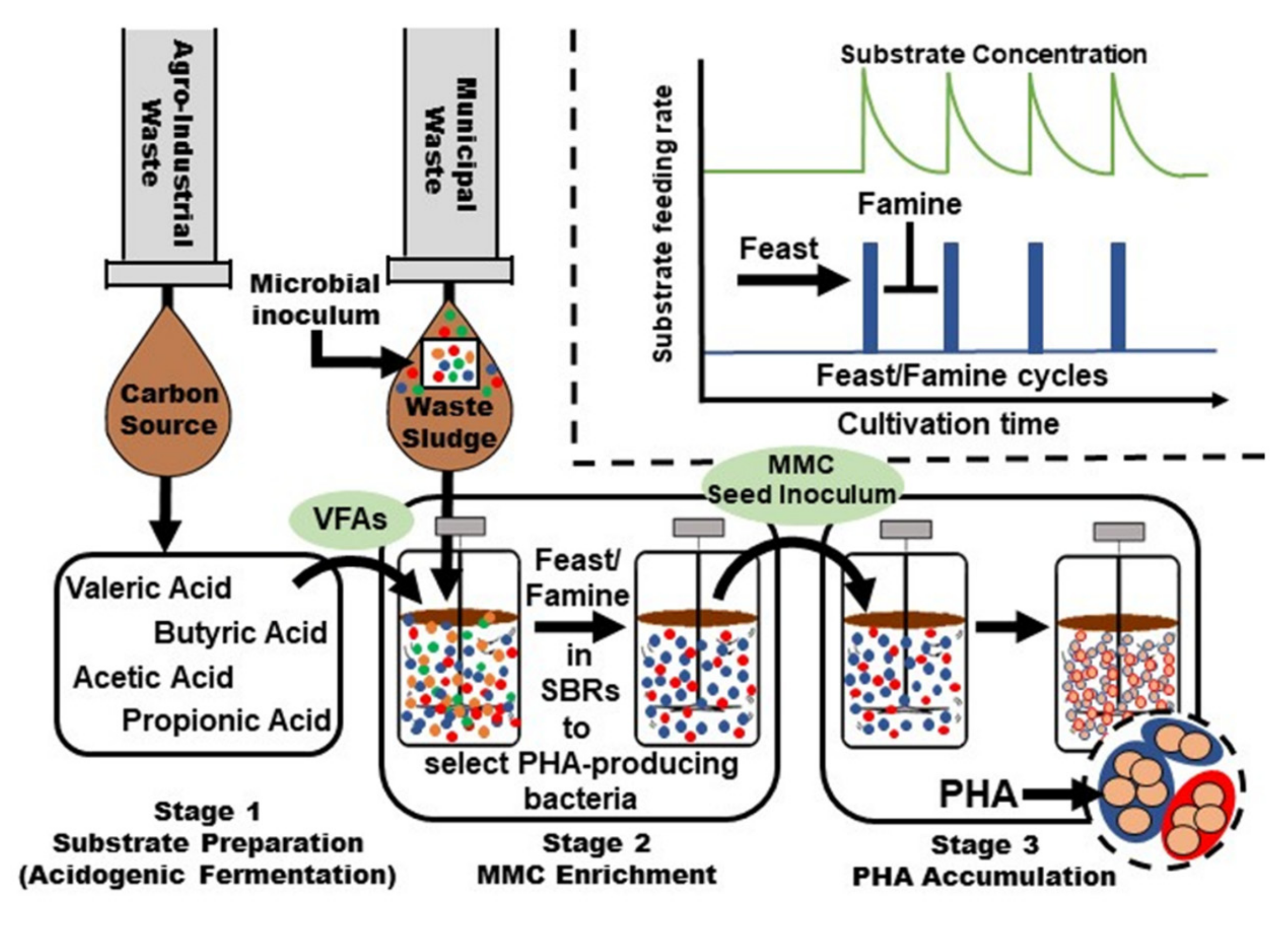 Molecules 26 03463 g006