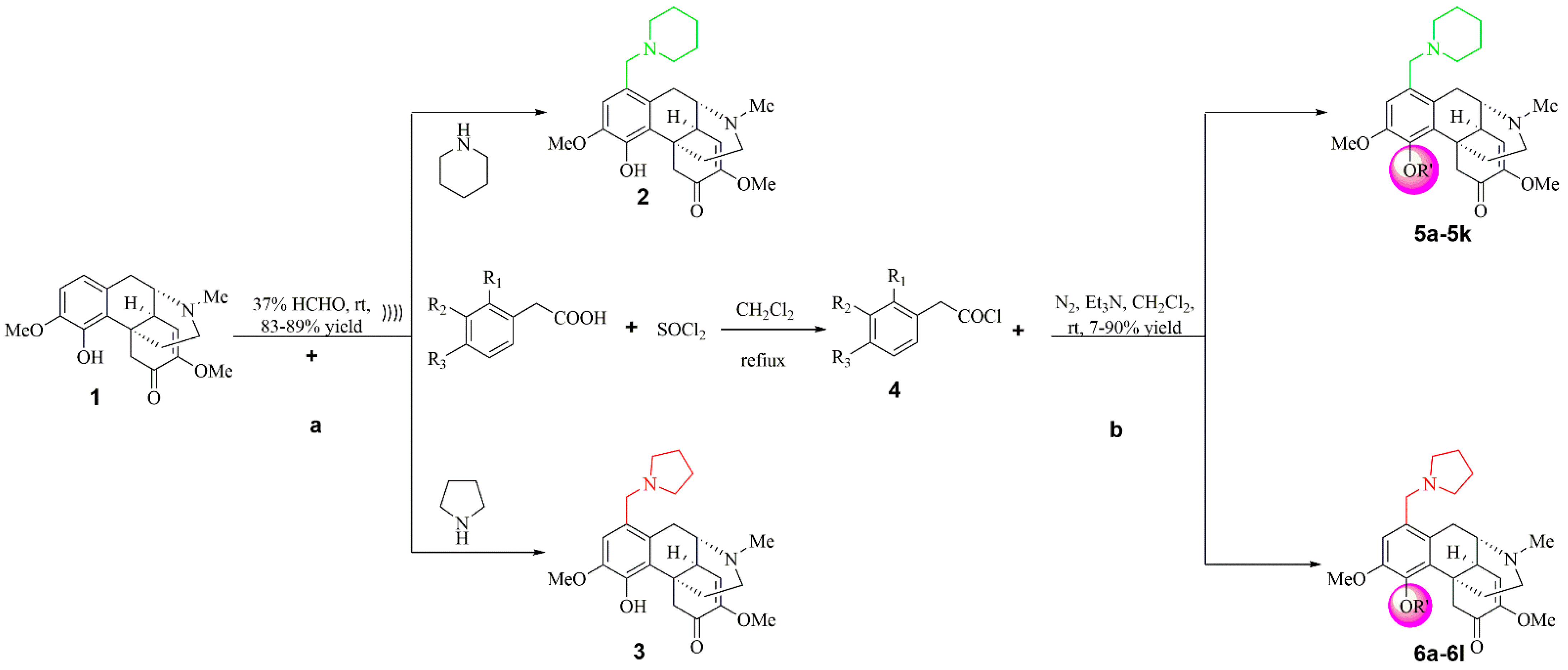 Molecules 26 03466 sch001