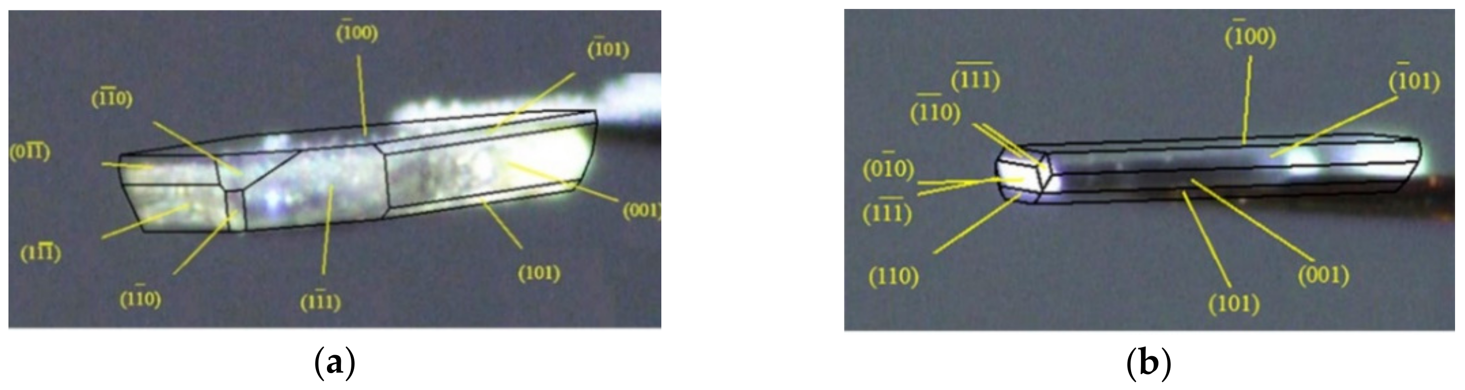 Molecules 26 03469 g004 Molecules 26 03469 g004