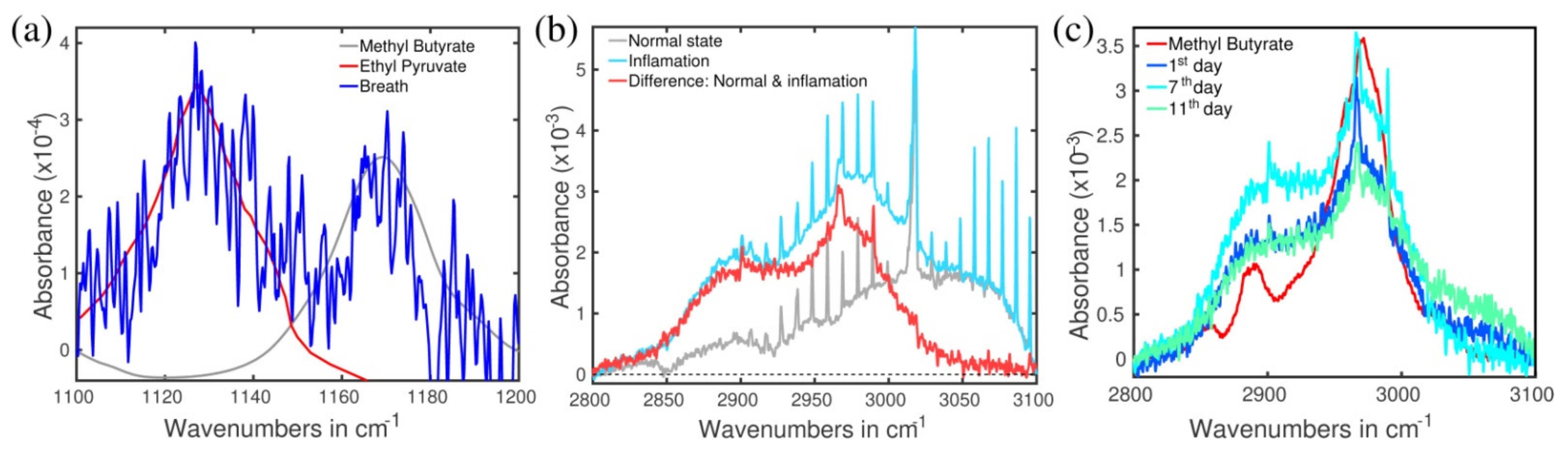 Molecules 26 03474 g003 Molecules 26 03474 g003