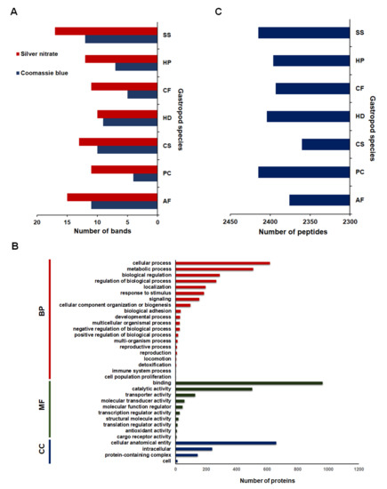 Molecules | June-1 2021 - Browse Articles
