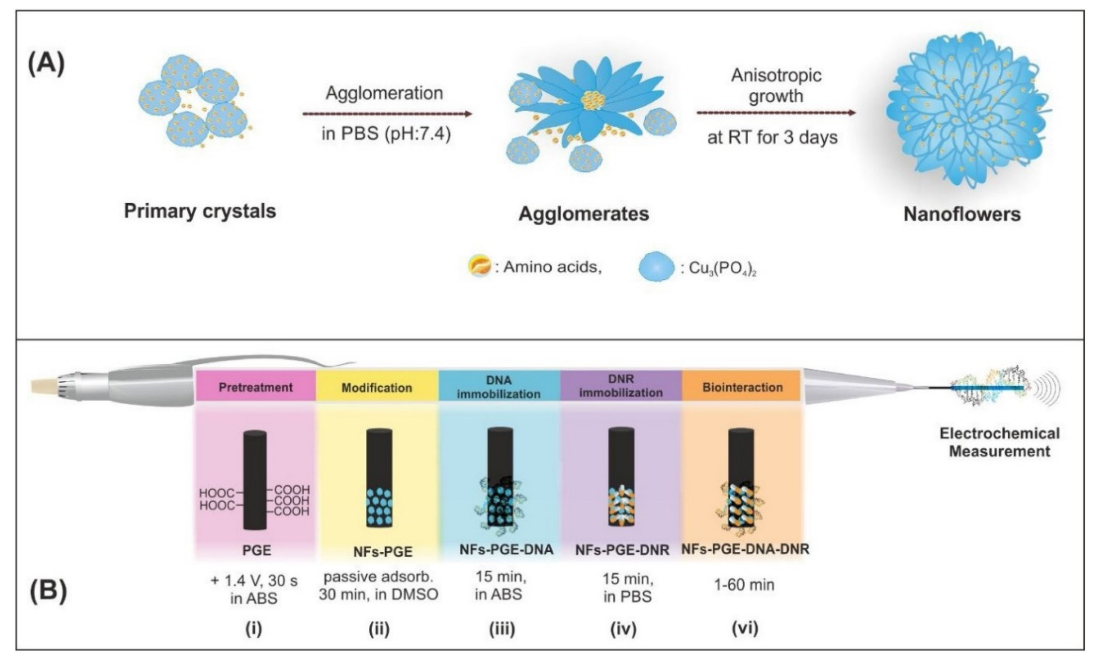 Molecules 26 03478 g006