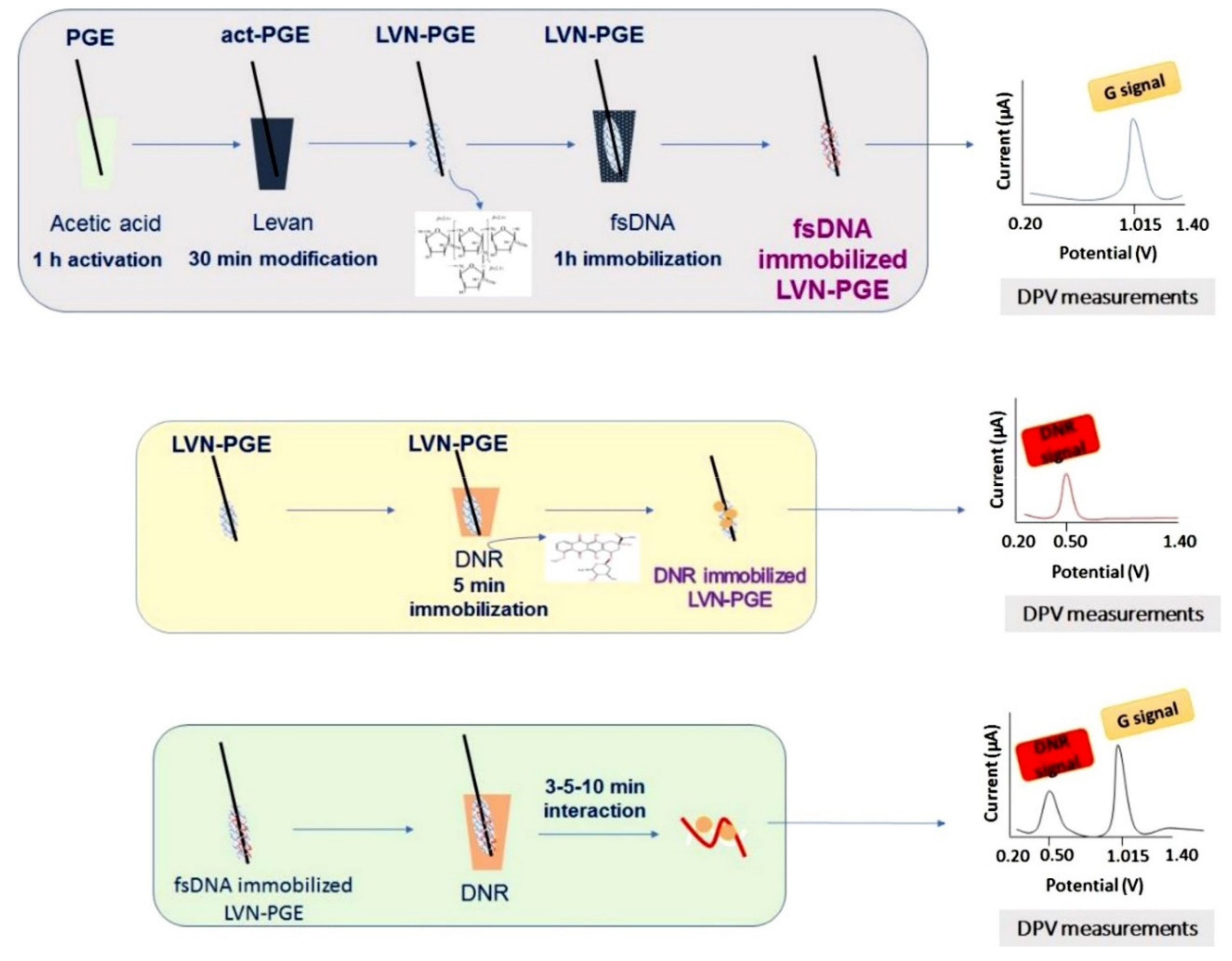 Molecules 26 03478 g008