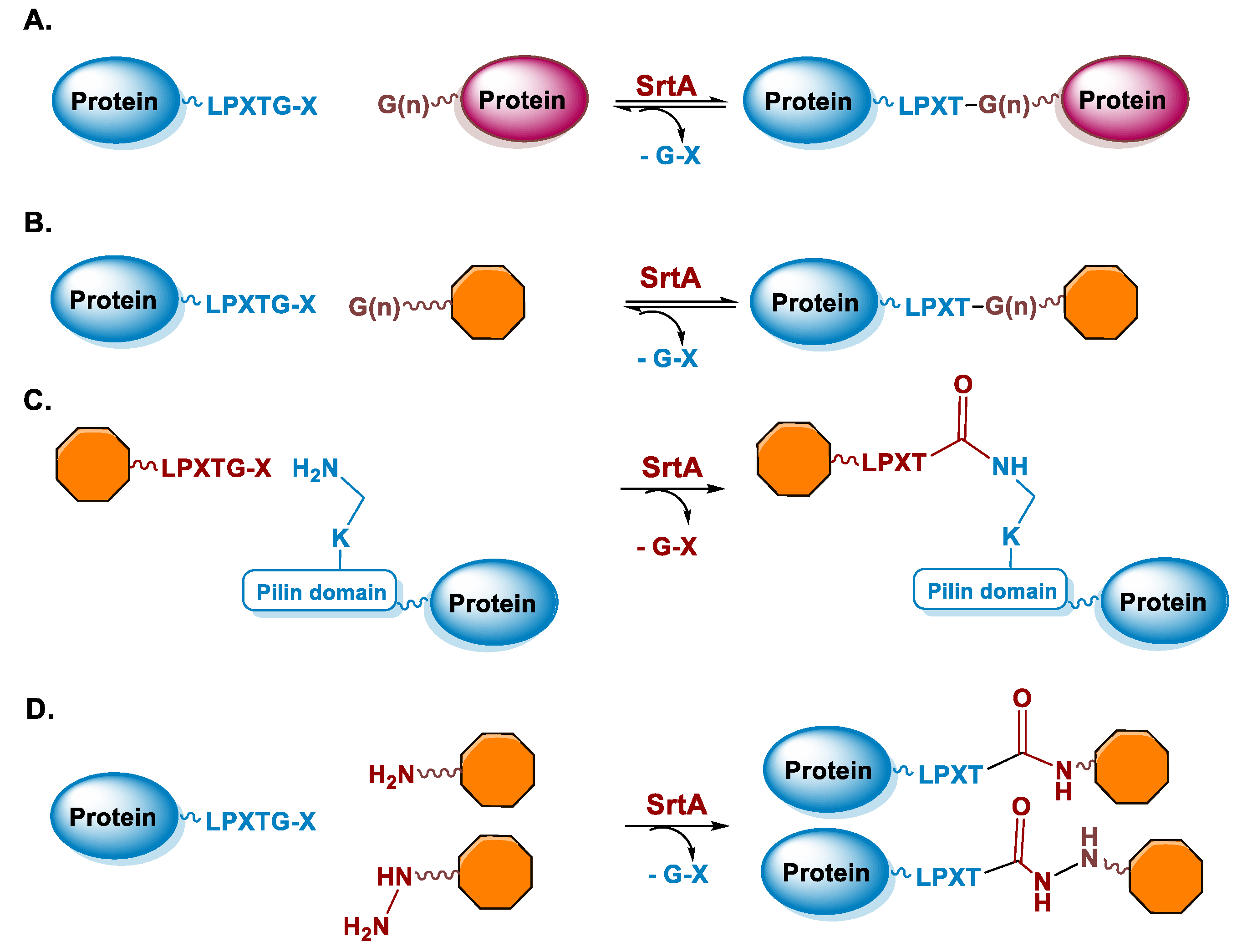 Molecules 26 03492 g003 Molecules 26 03492 g003