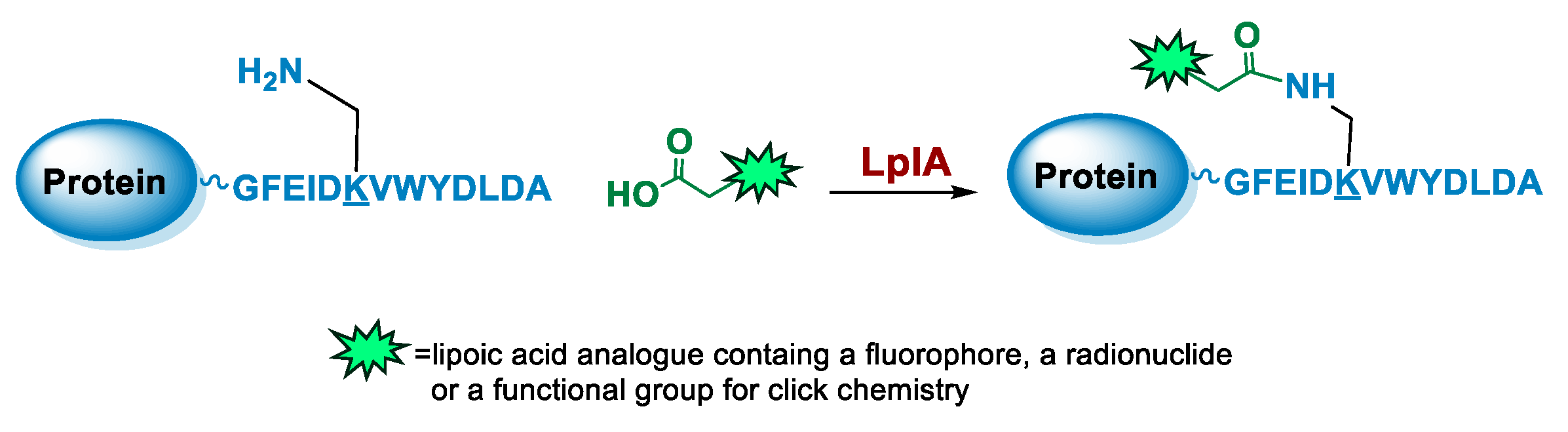 Molecules 26 03492 g005 Molecules 26 03492 g005